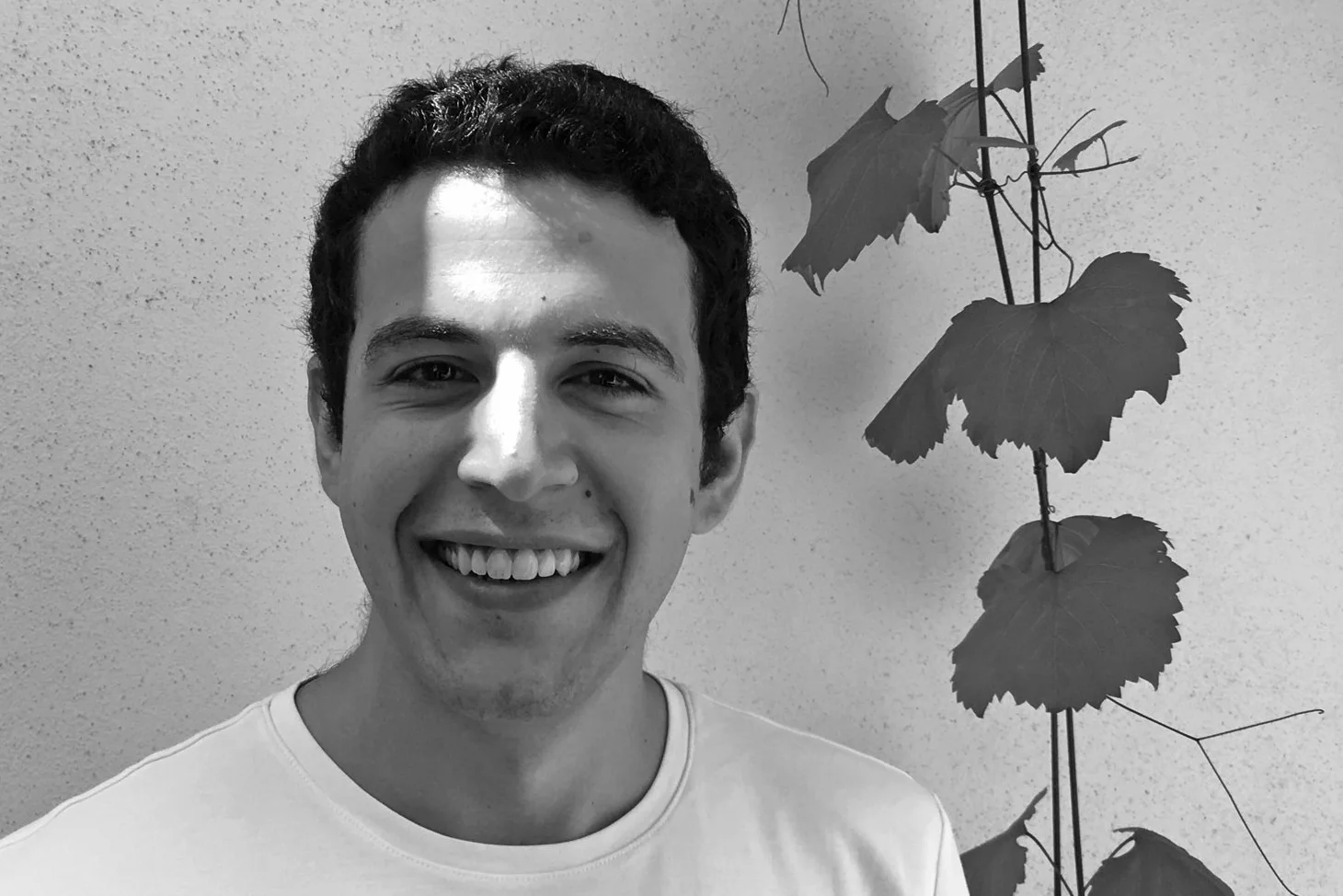 PATRICK KATTOURA - Creative & Artist Services