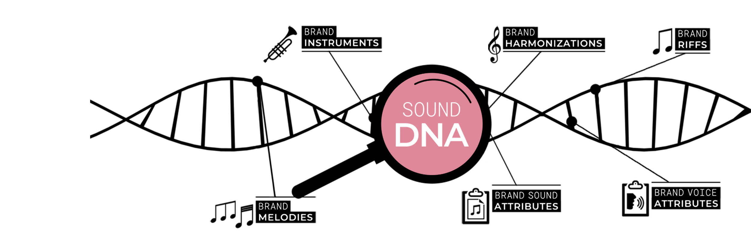 AMP_SDNA_xwebsite2.png
