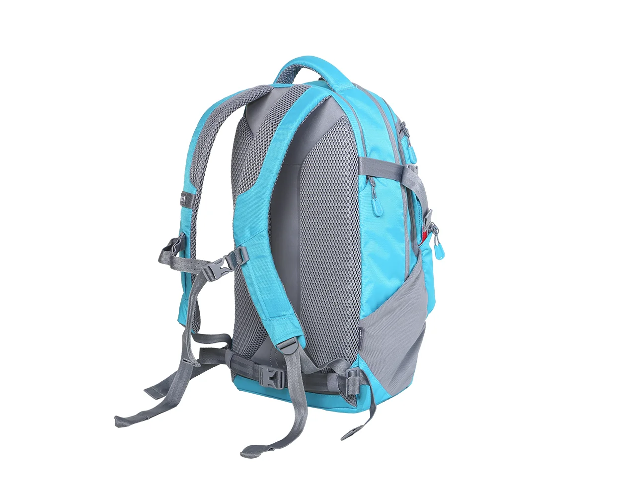 Rothbury Daypack - Back View