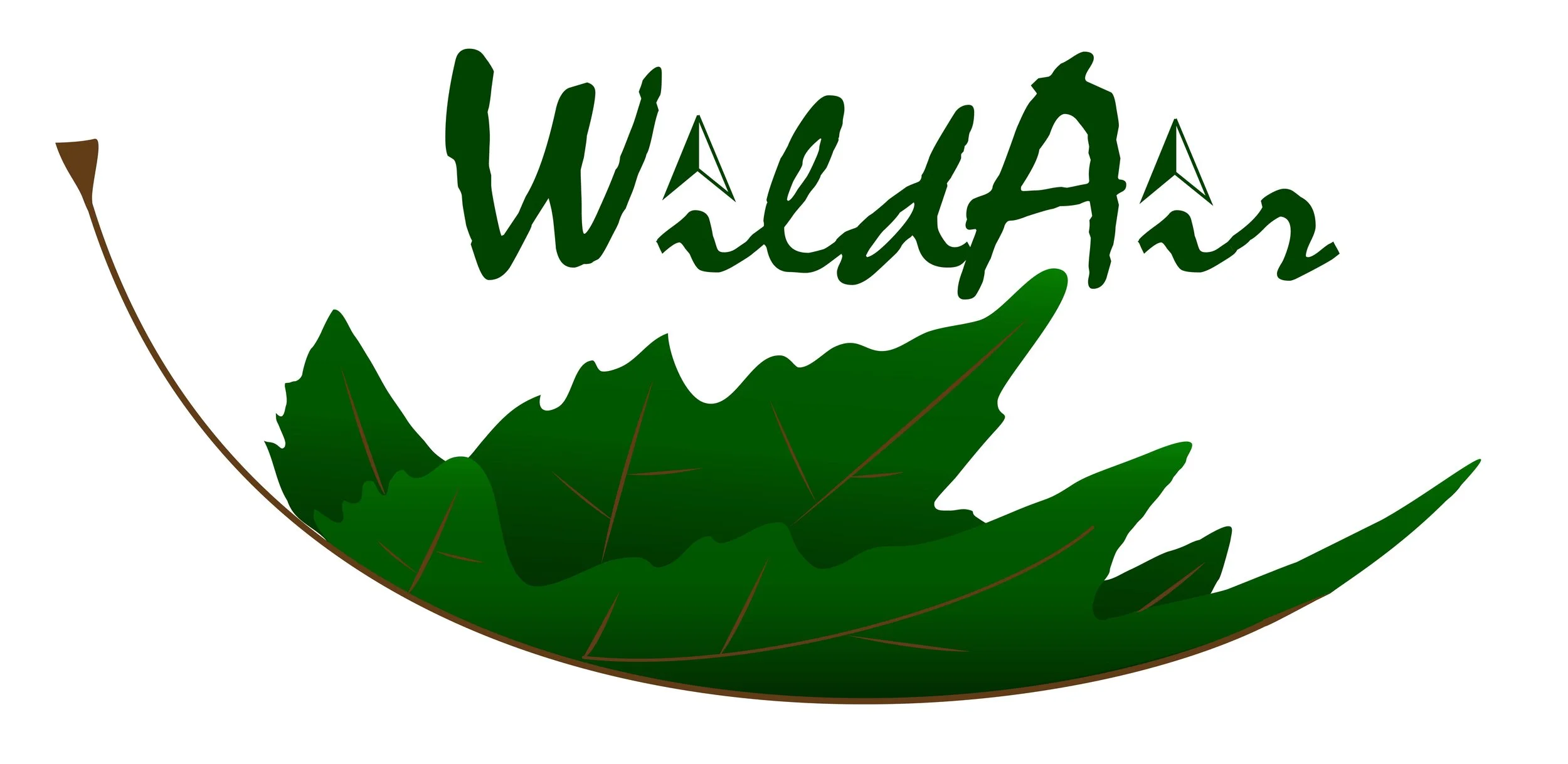 WildAir Outdoors