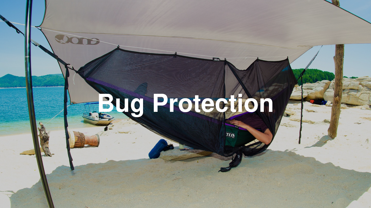 Bug Protection.png