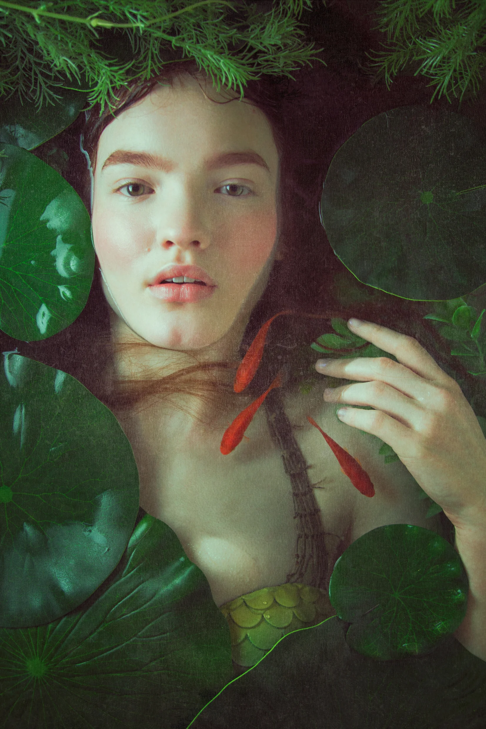 Nymph_Nicole-York.jpg