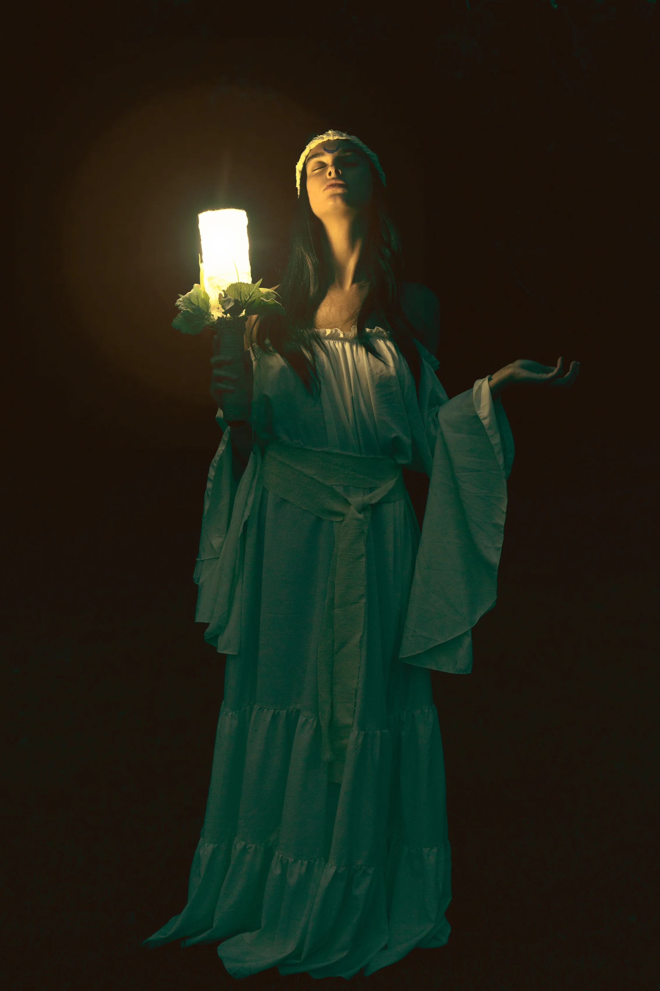 Morgaine-of-the-Faeries-by-Nicole-York-231.jpg