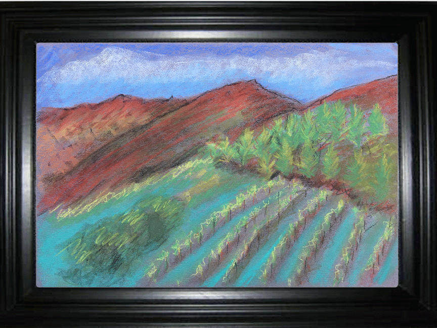 California Vinyard