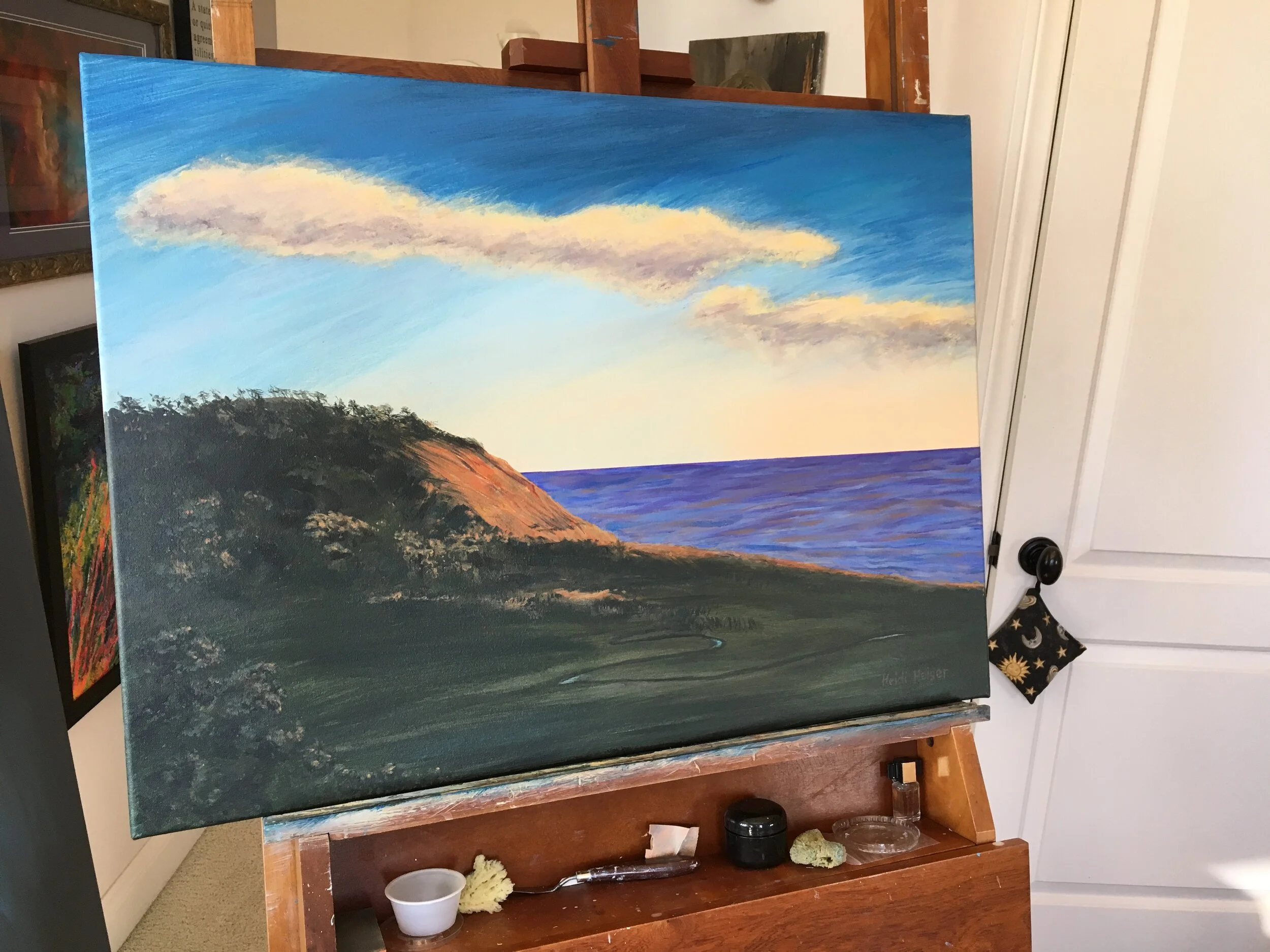 Torrey Pines Reserve1.JPG