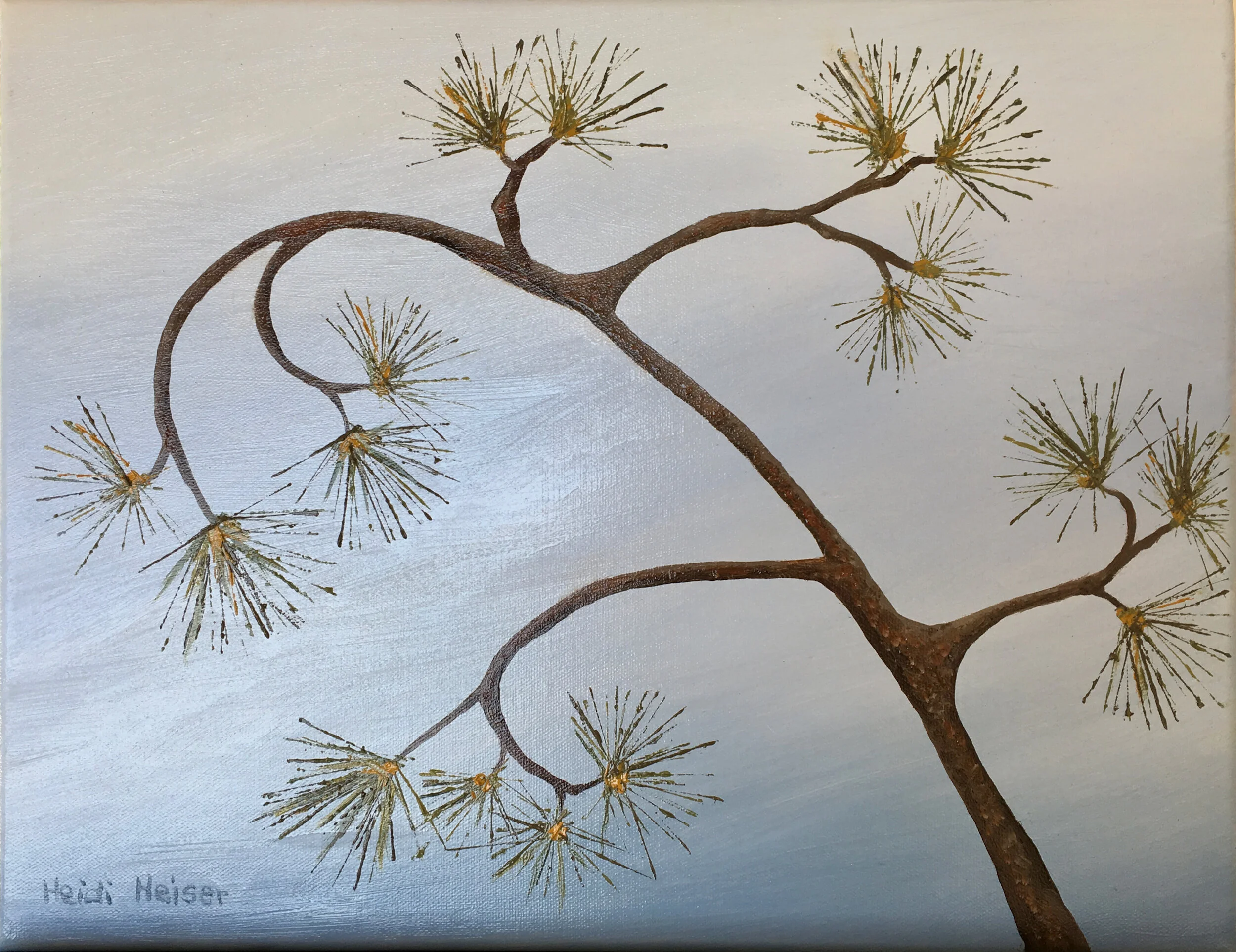 Torrey pine 1 18x14pines - 1.jpeg