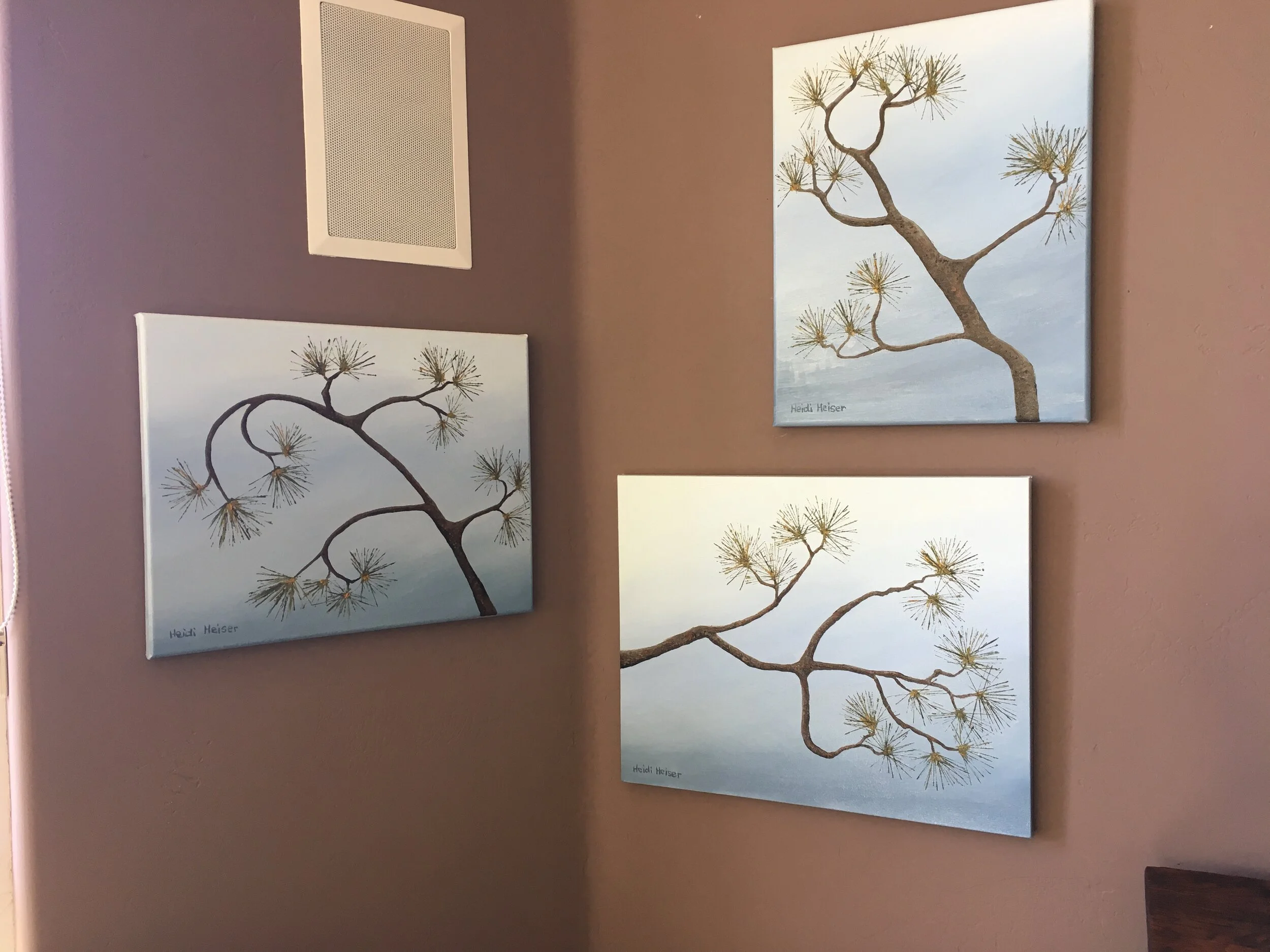 Torrey Pine 3 up2.jpeg