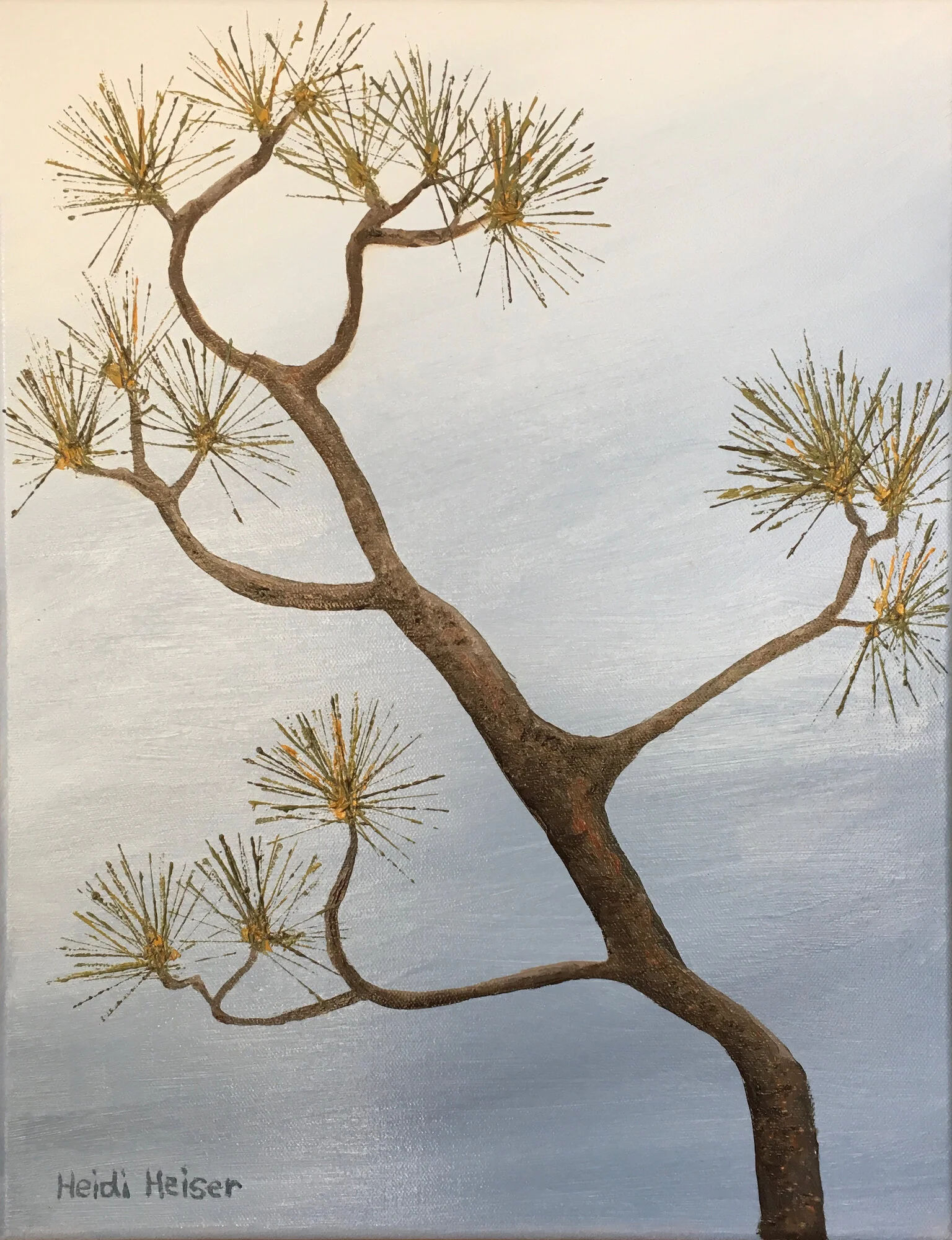 Torrey pine 2 - 1 copy.jpeg