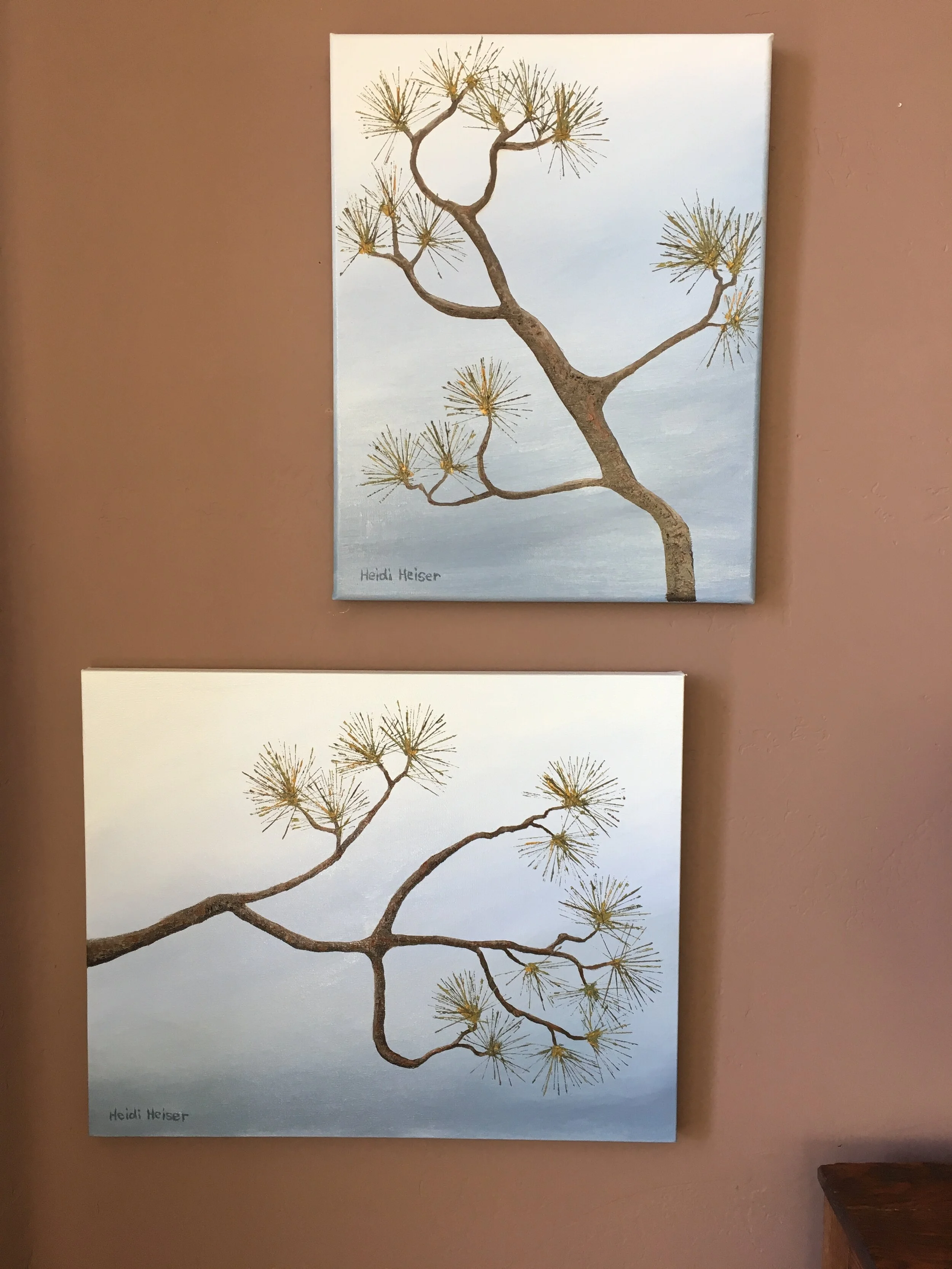 Torrey Pine 3 up3.jpeg