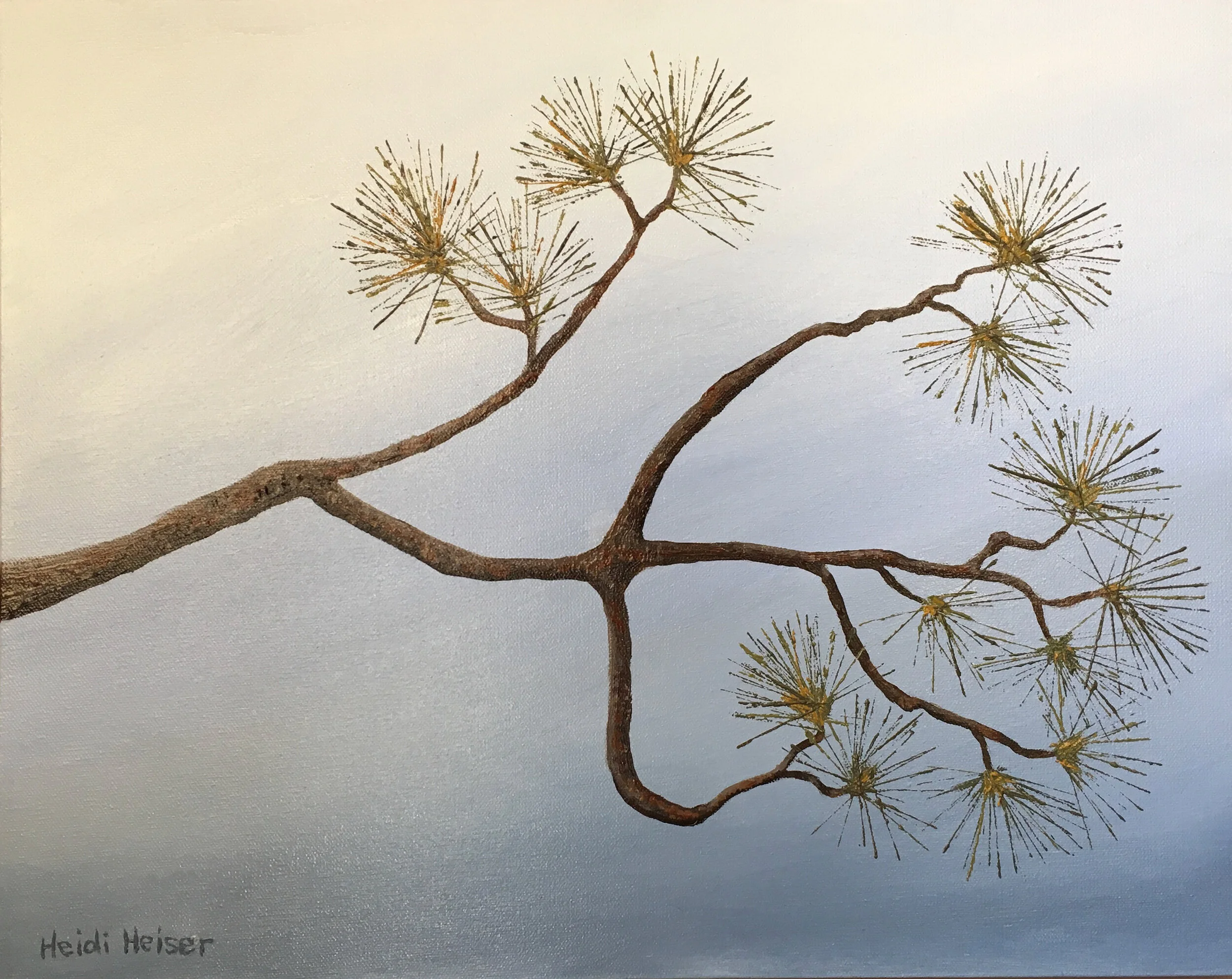 Torrey pine 3 16x20 - 1 copy 2.jpeg