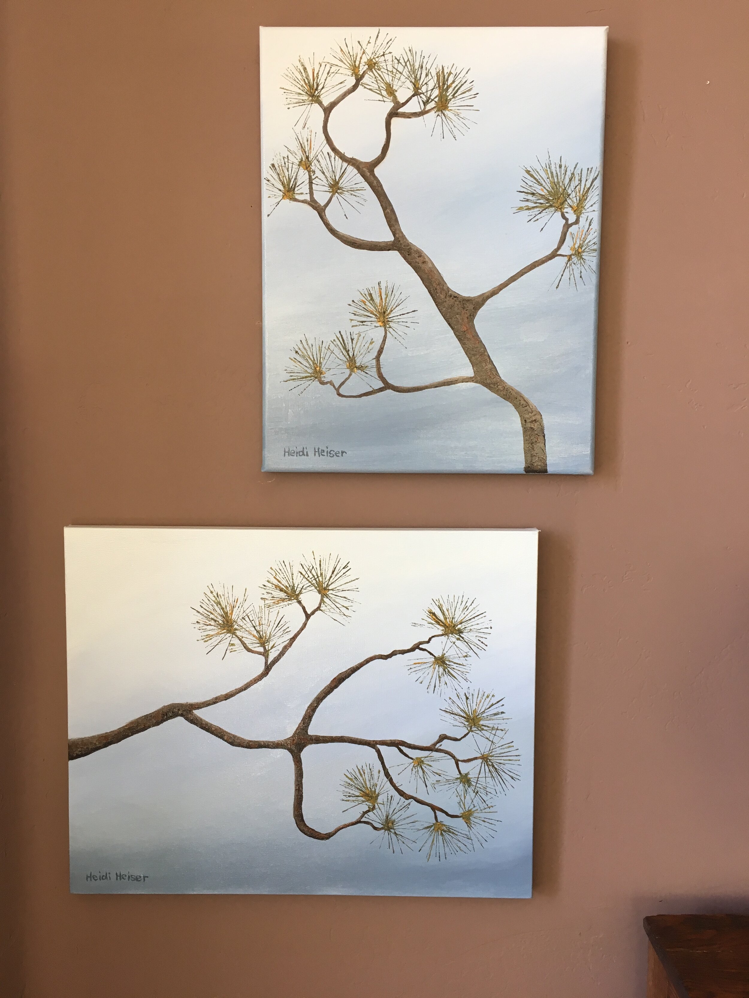 Torrey Pine 3 up3.jpeg