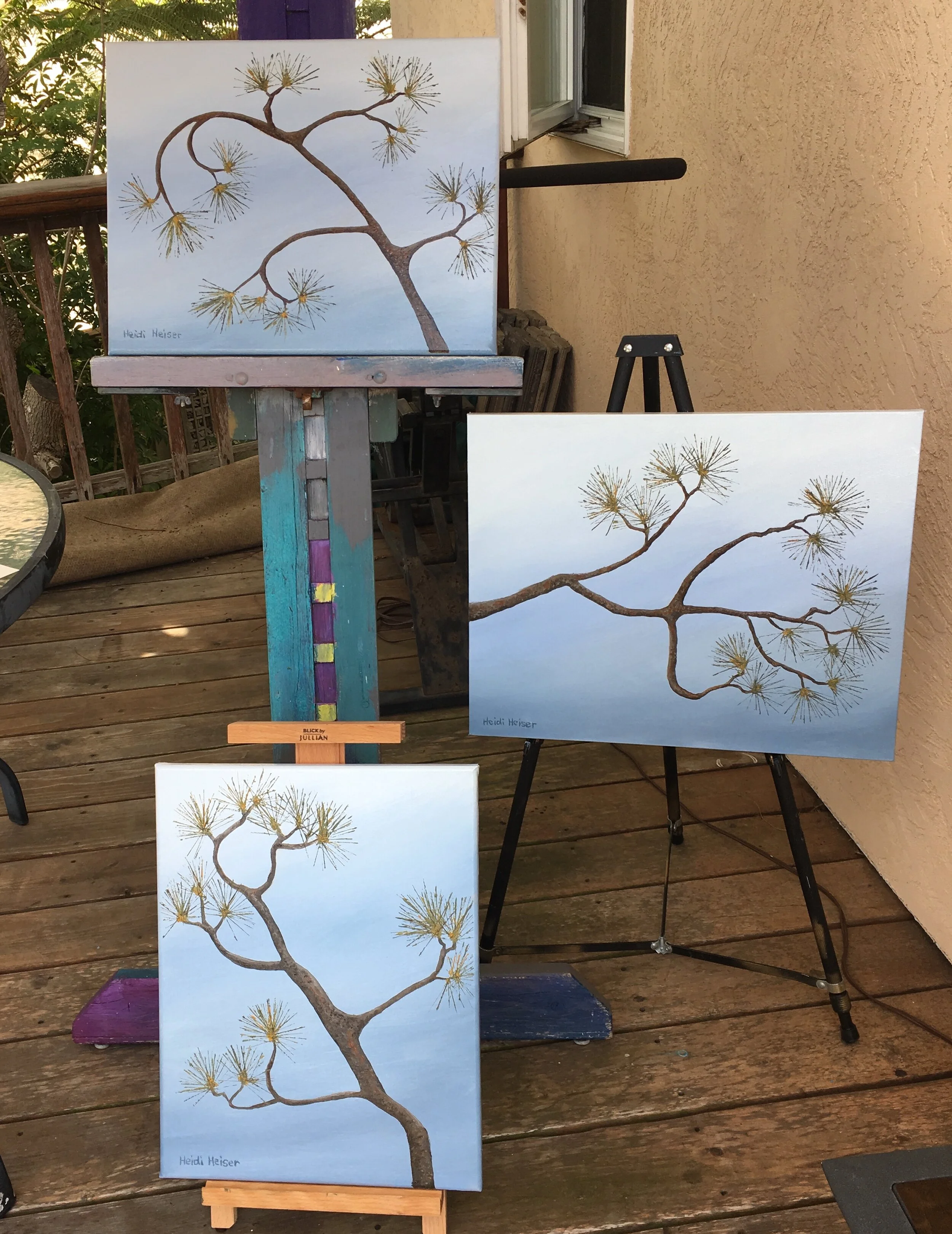 Torrey Pine 3 up1.jpeg