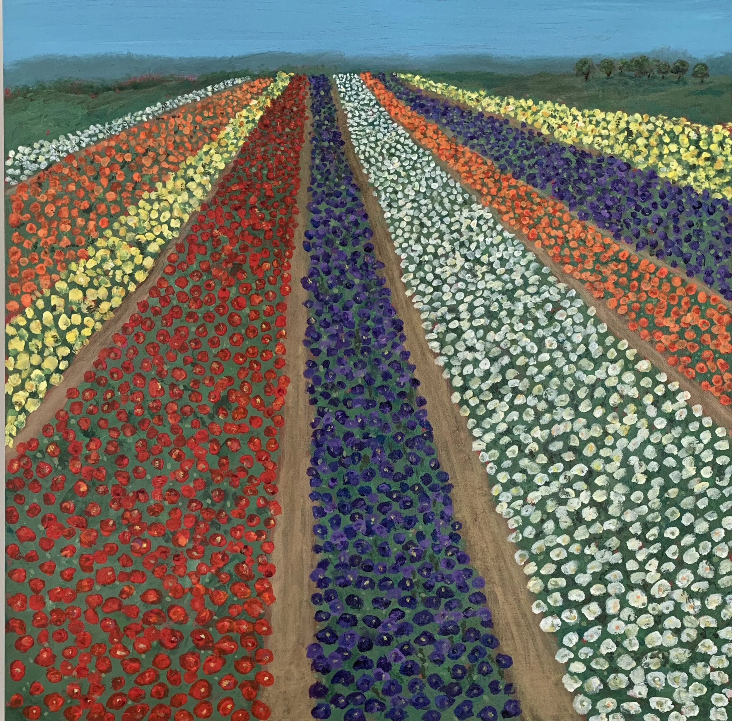 Carlsbad-Flower-Fields-24x244.jpeg