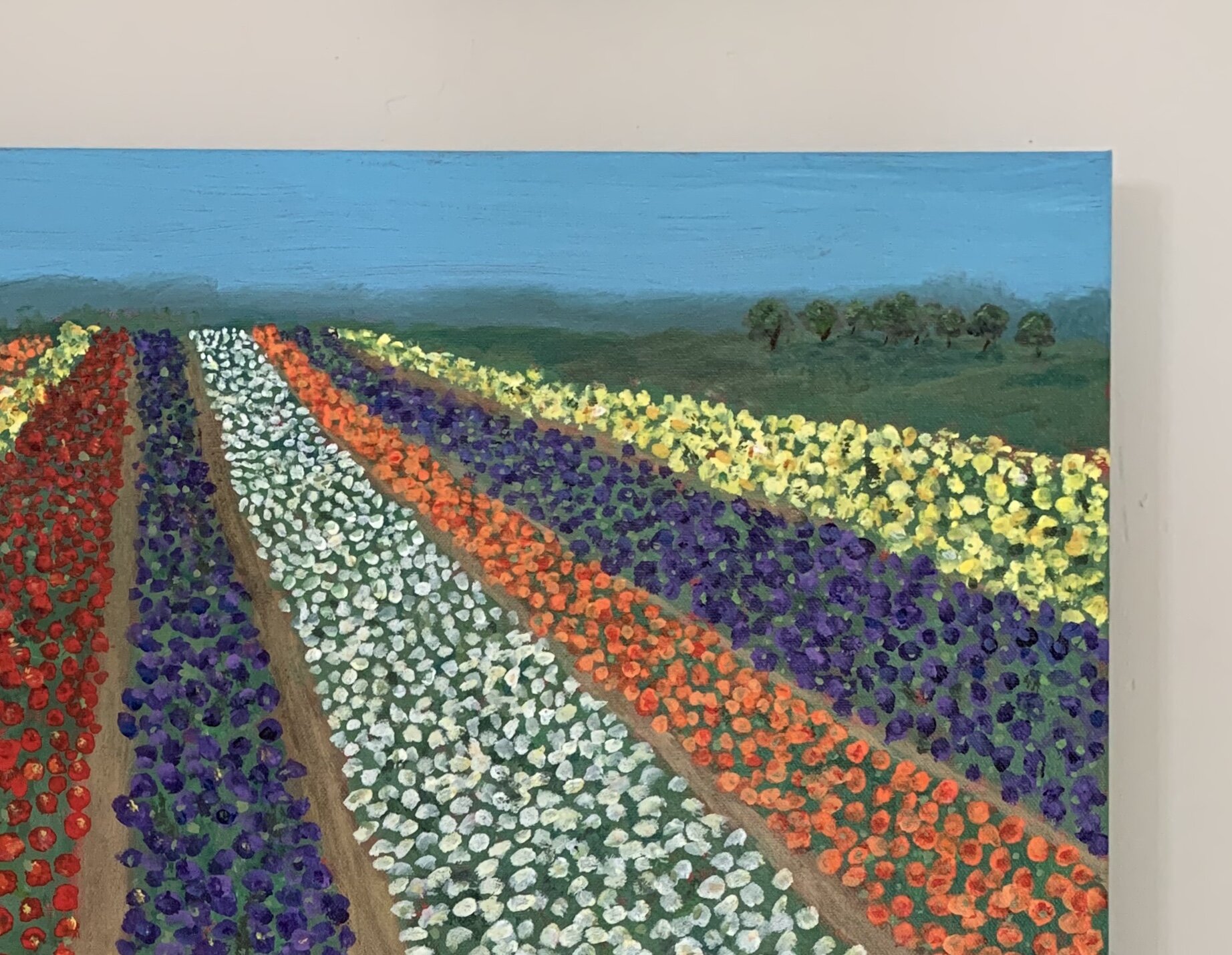 Carlsbad-Flower-Fields-24x241.jpeg