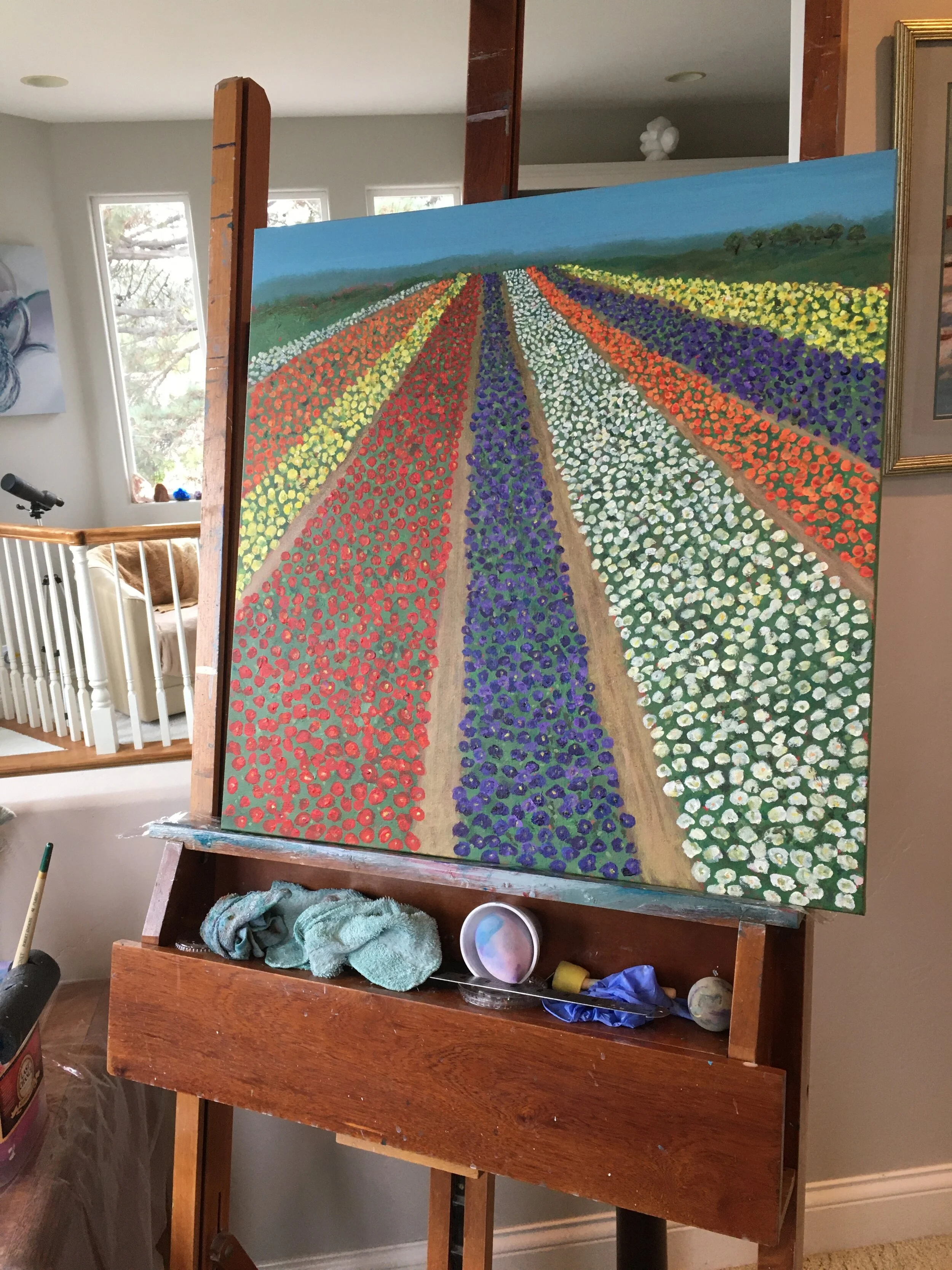 Carlsbad-Flower-Fields-24x248.jpeg