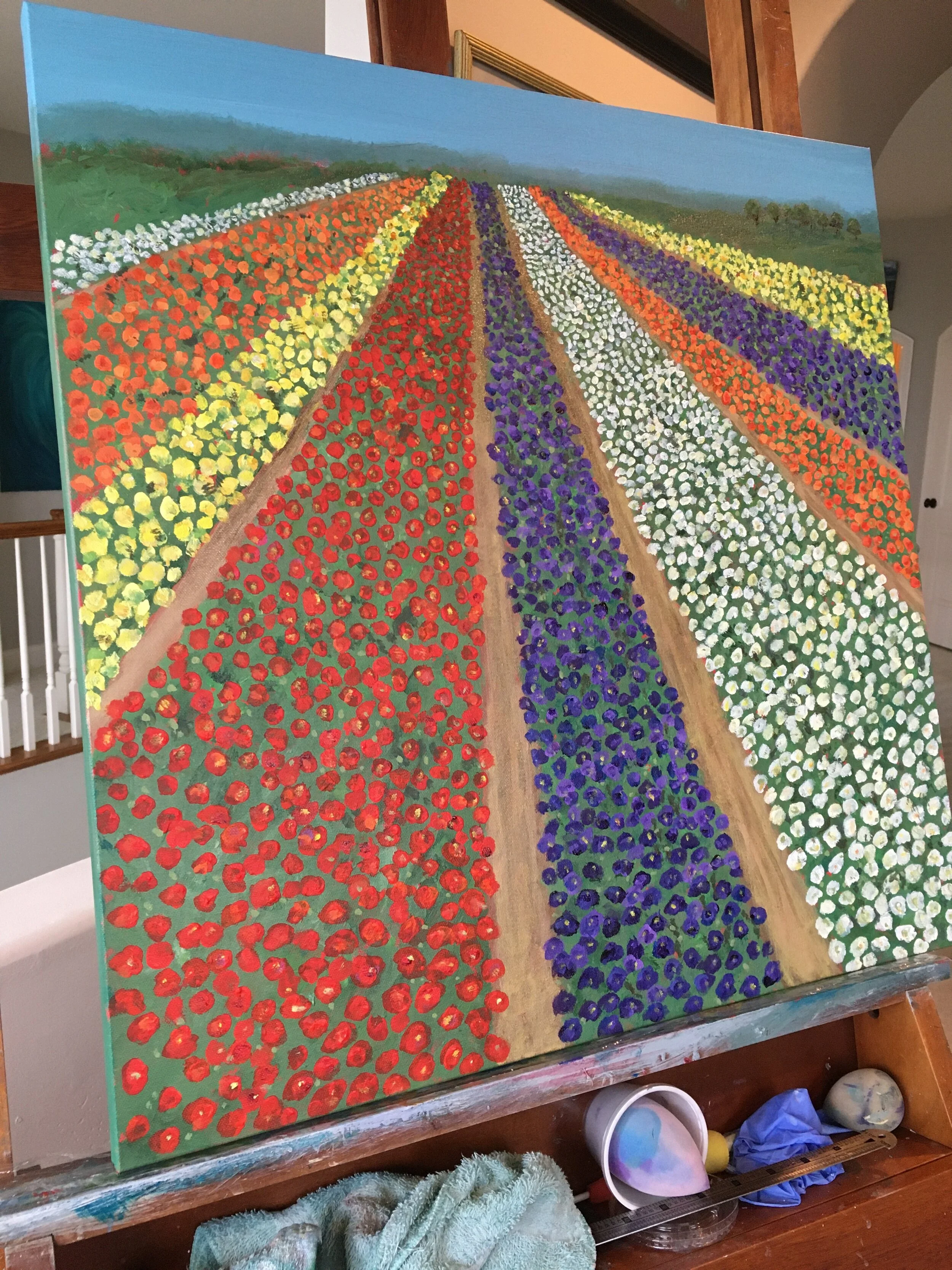 Carlsbad-Flower-Fields-24x249.jpeg