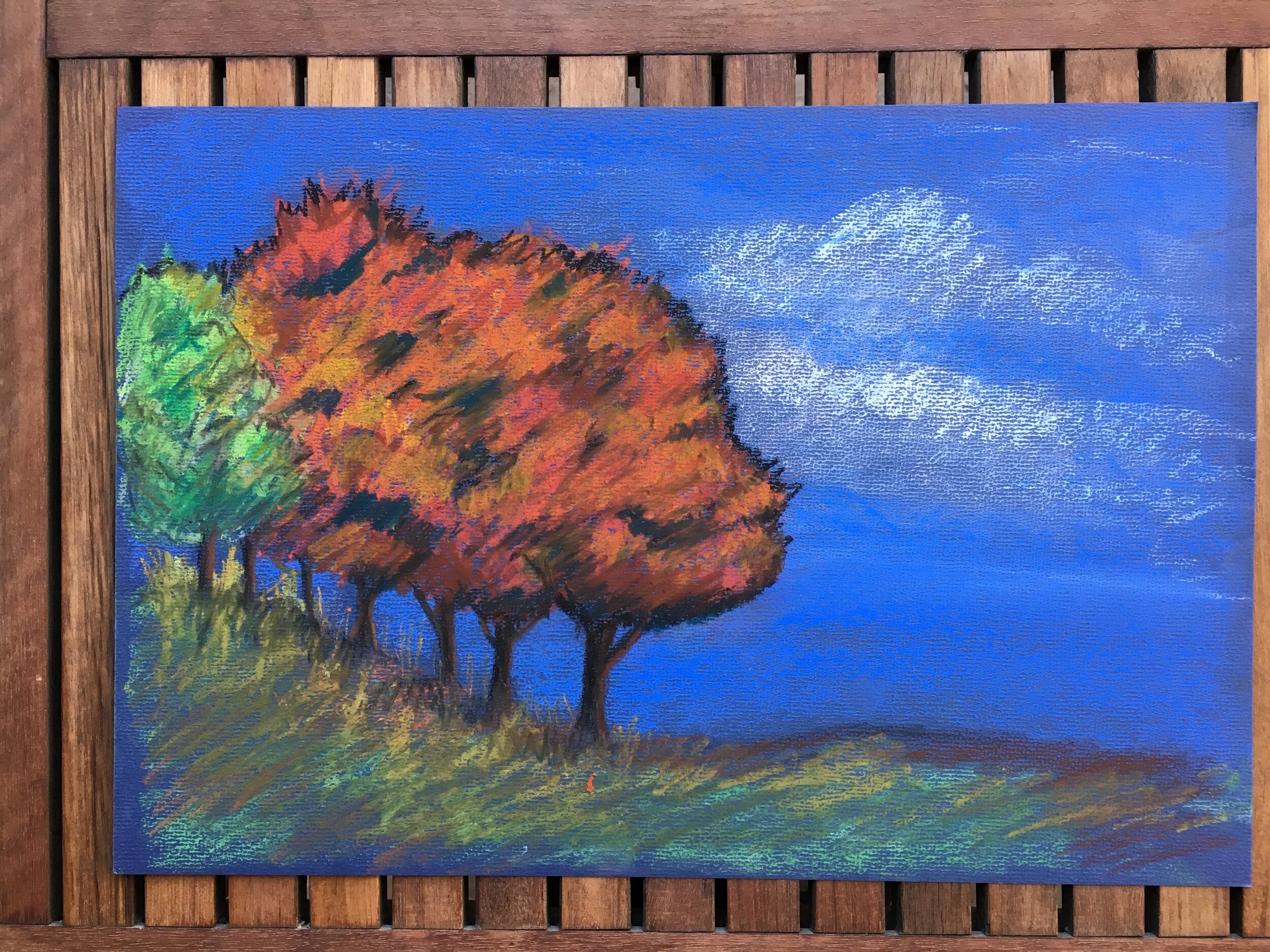 fall trees 2.JPG