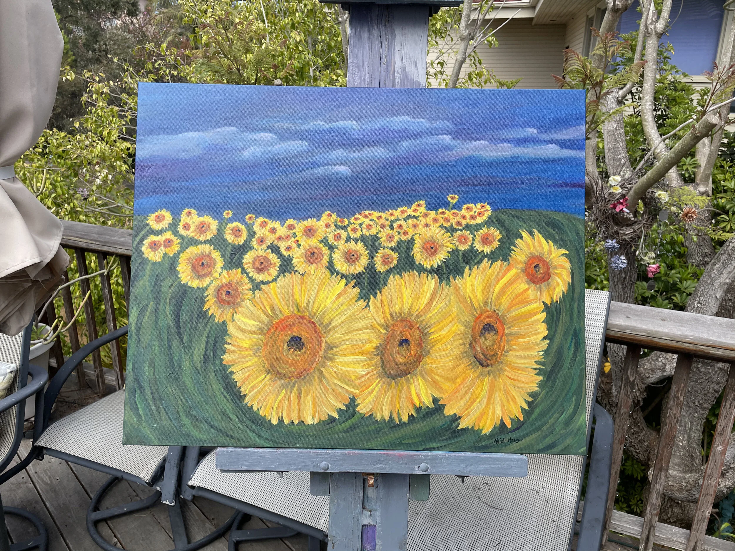 sunflowers in a field 30x24 sun.jpeg