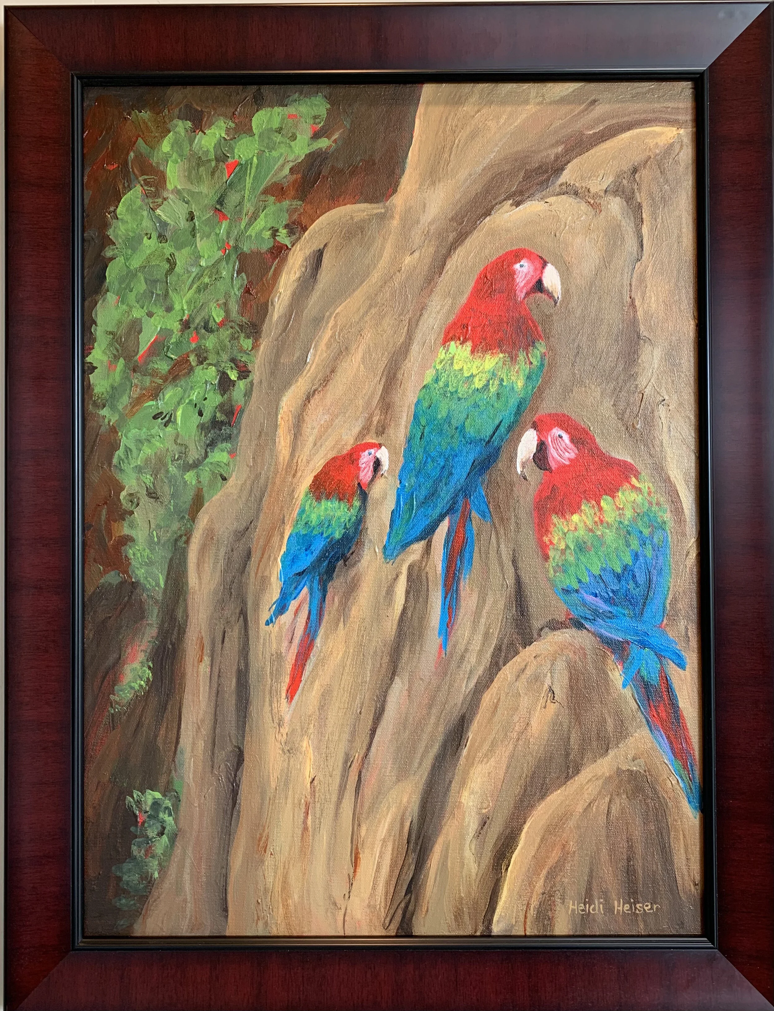 Macaws on the Bluffs7.jpeg