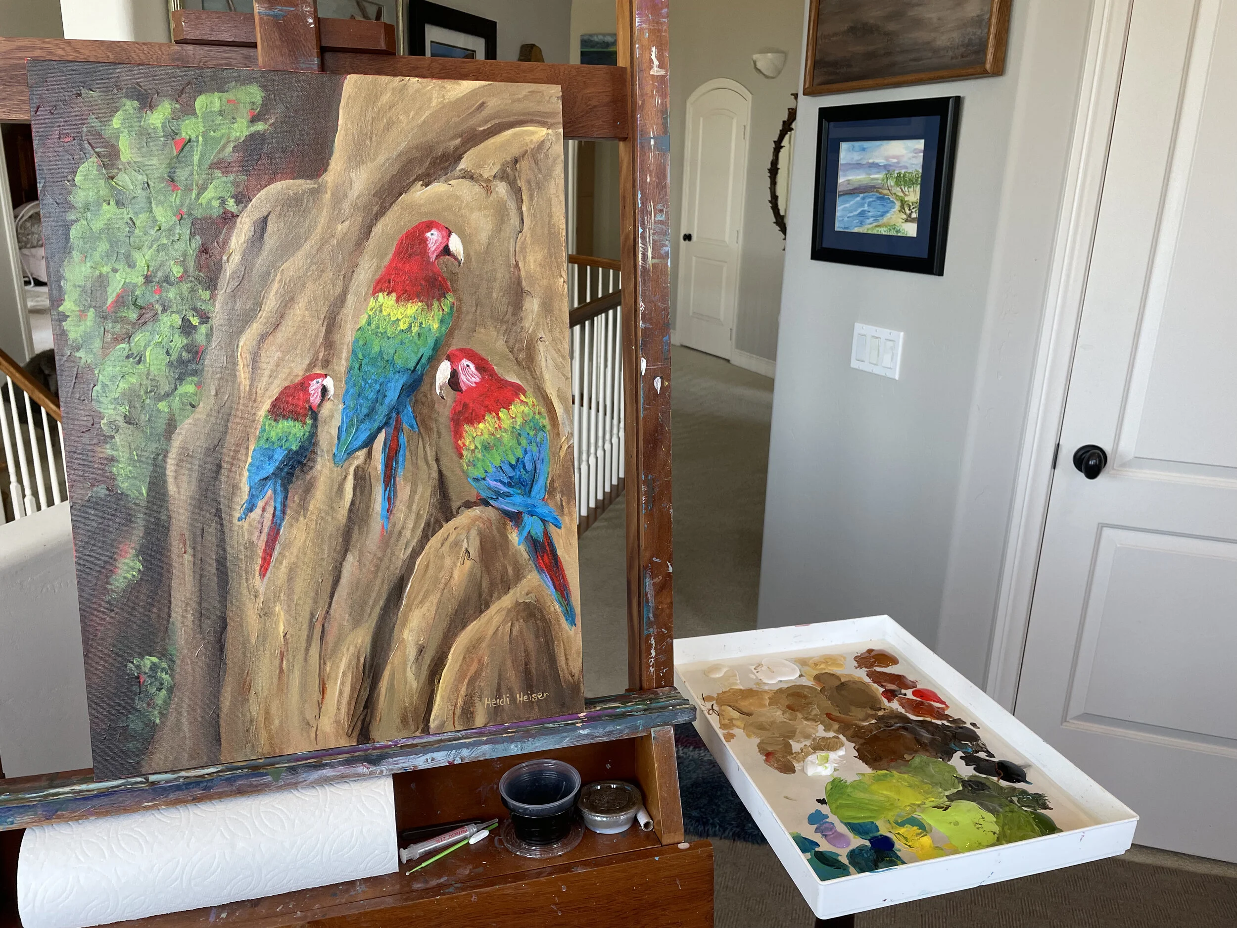 Macaws on the Bluffs5.jpeg