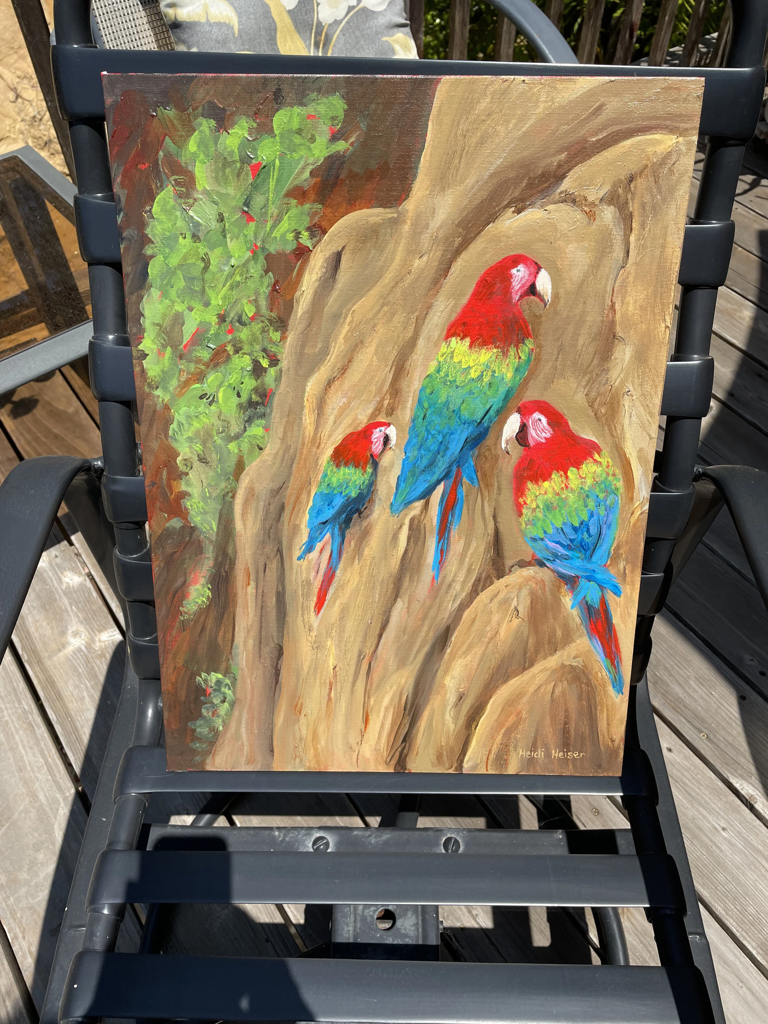 Macaws on the Bluffs3.jpeg