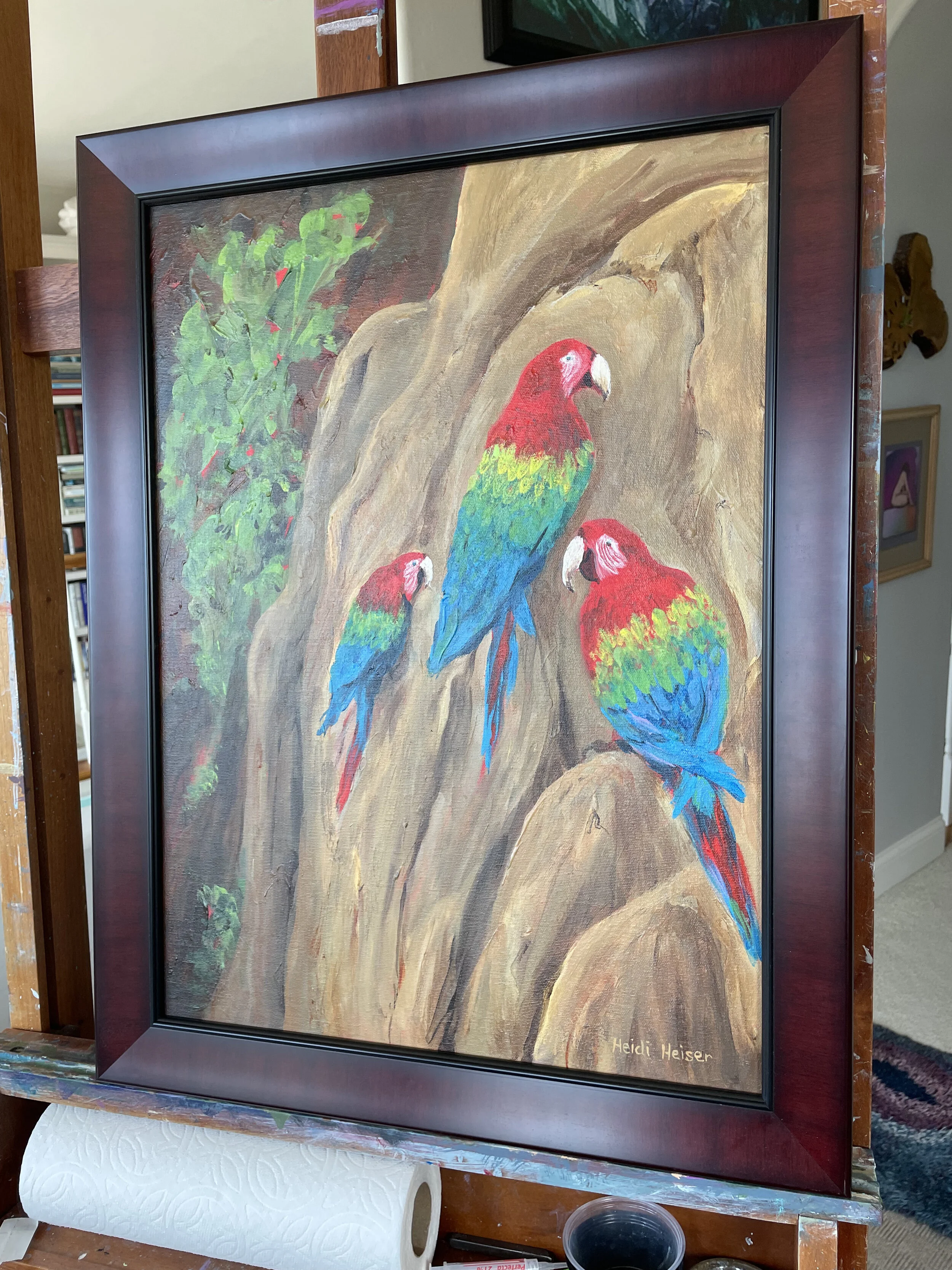 Macaws on the Bluffs6.jpeg