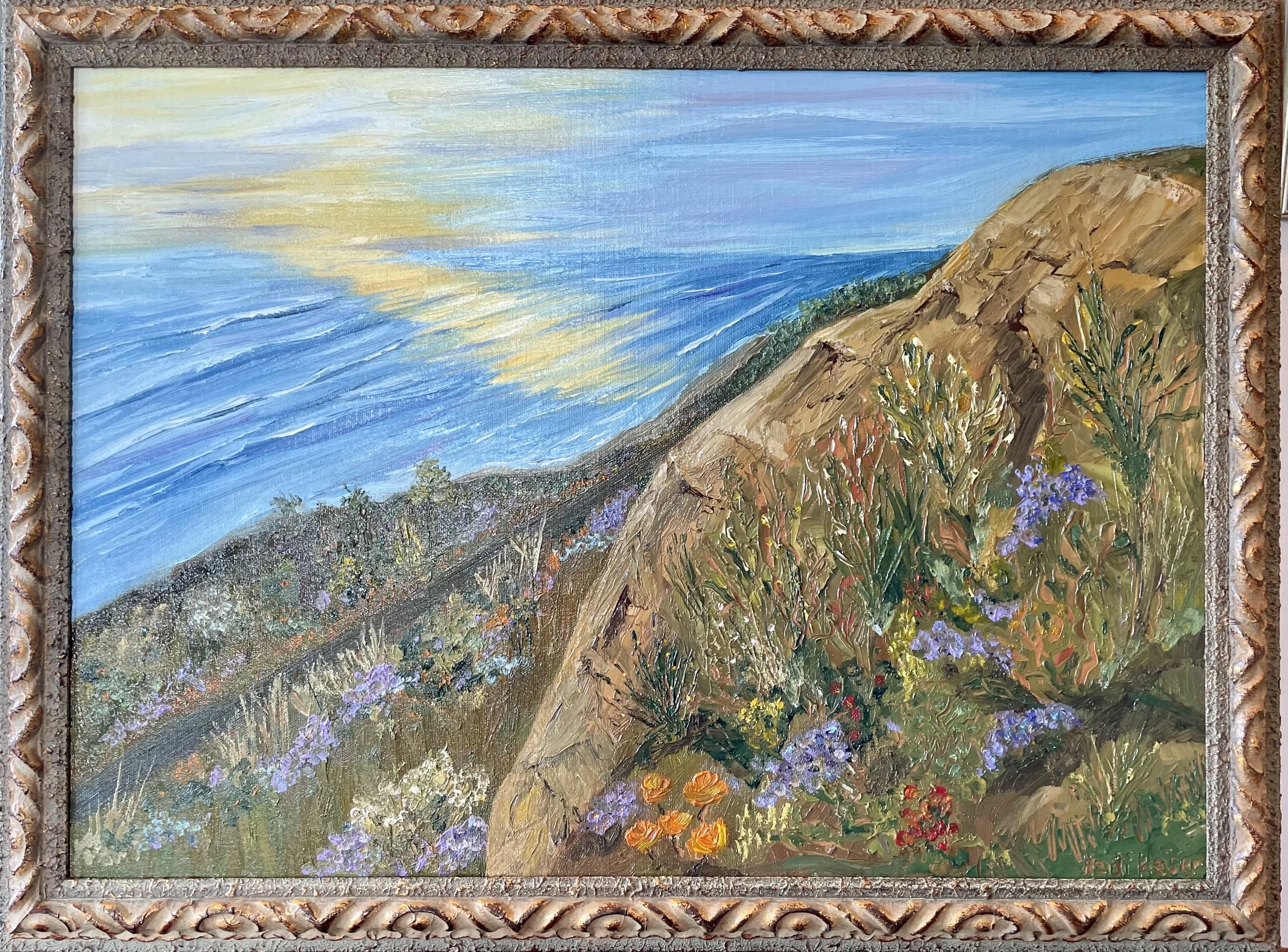 Del Mar Bluffs 26x206.jpeg