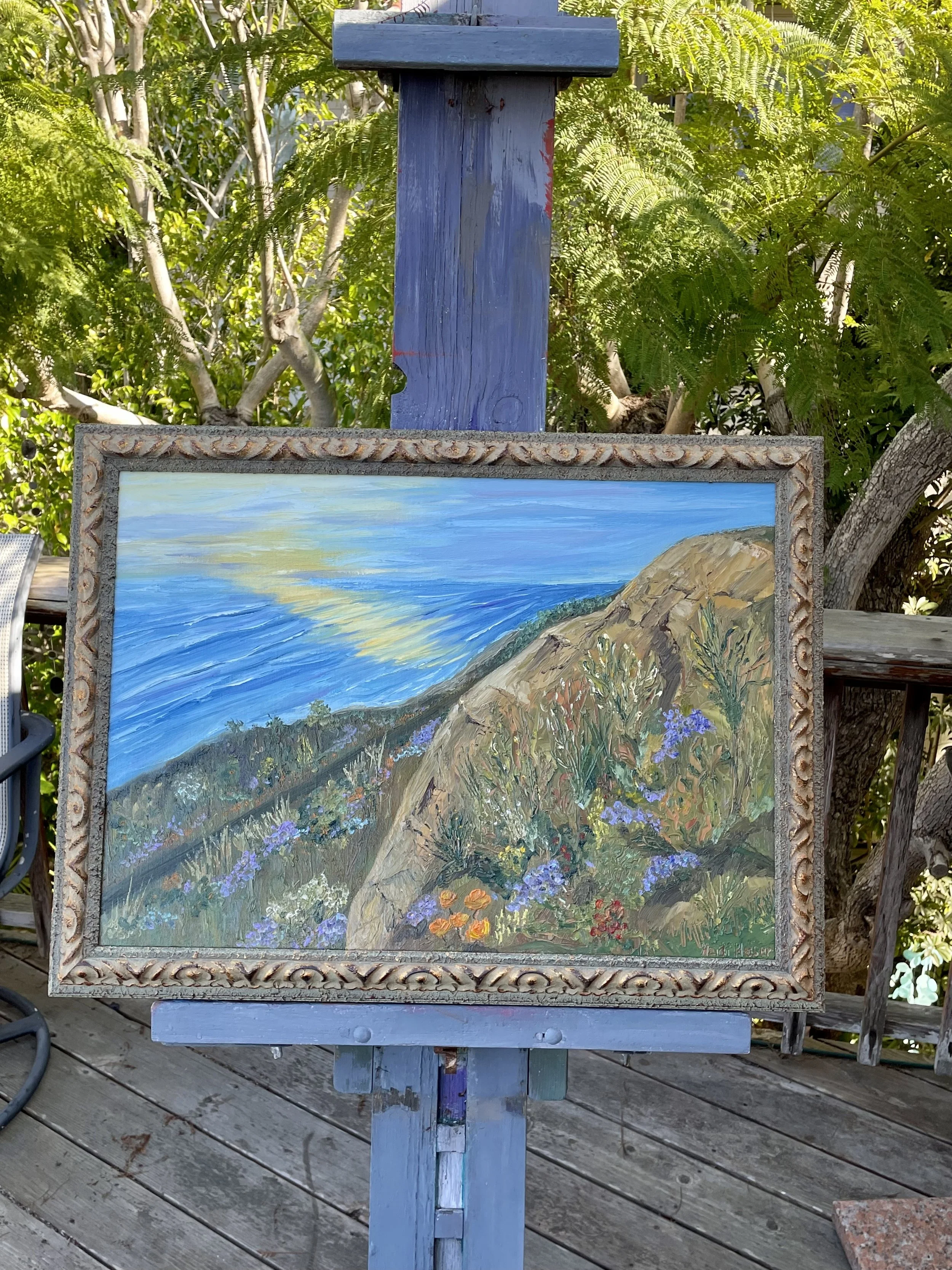 Del Mar Bluffs 26x207.jpeg
