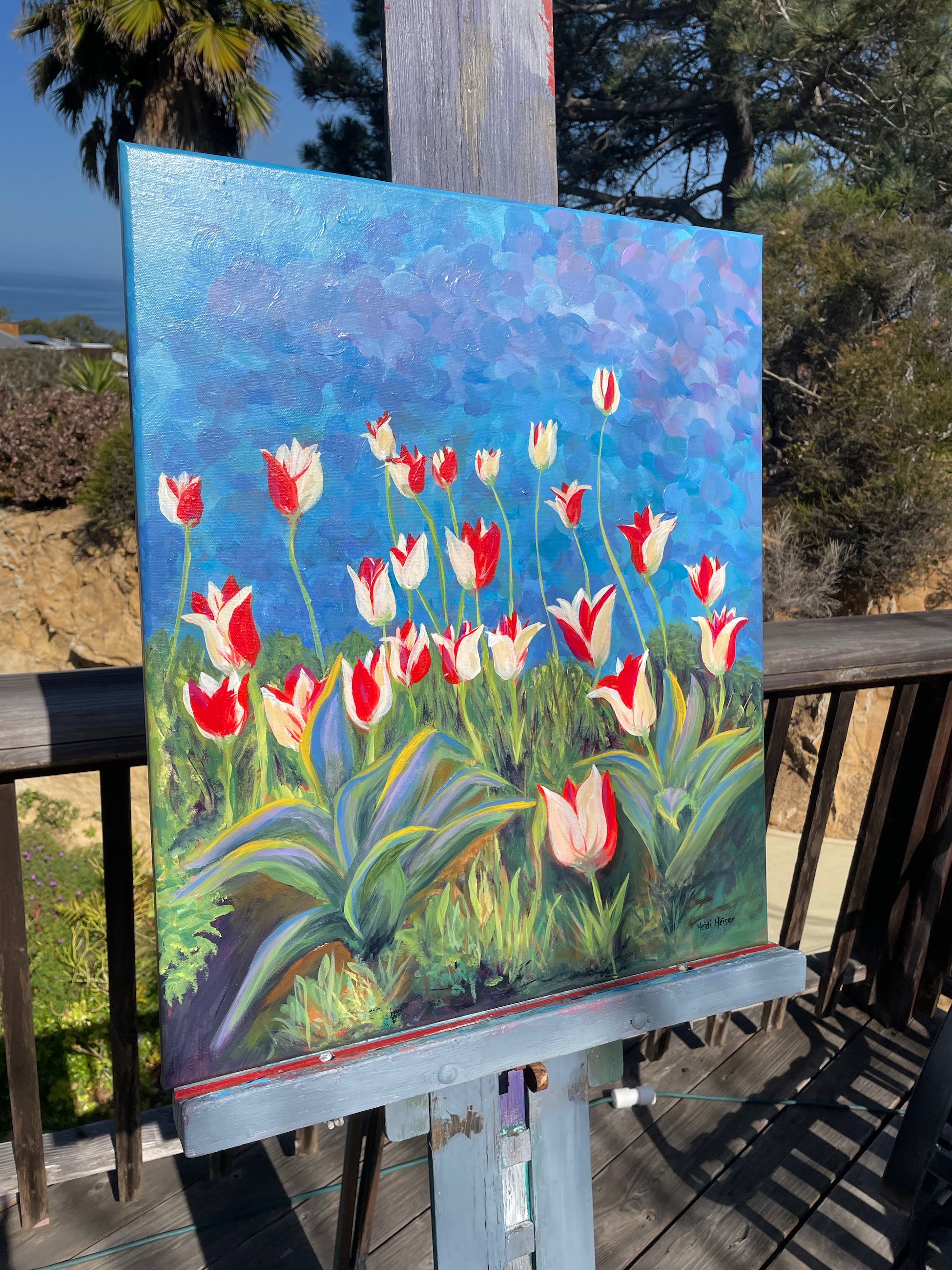 Tulip Field 20x24 - 9.jpeg