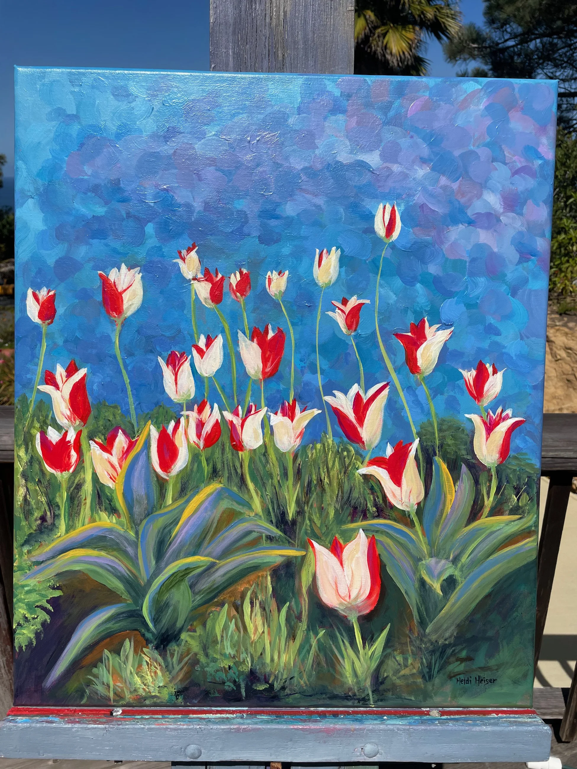 Tulip Field 20x24 - 11.jpeg