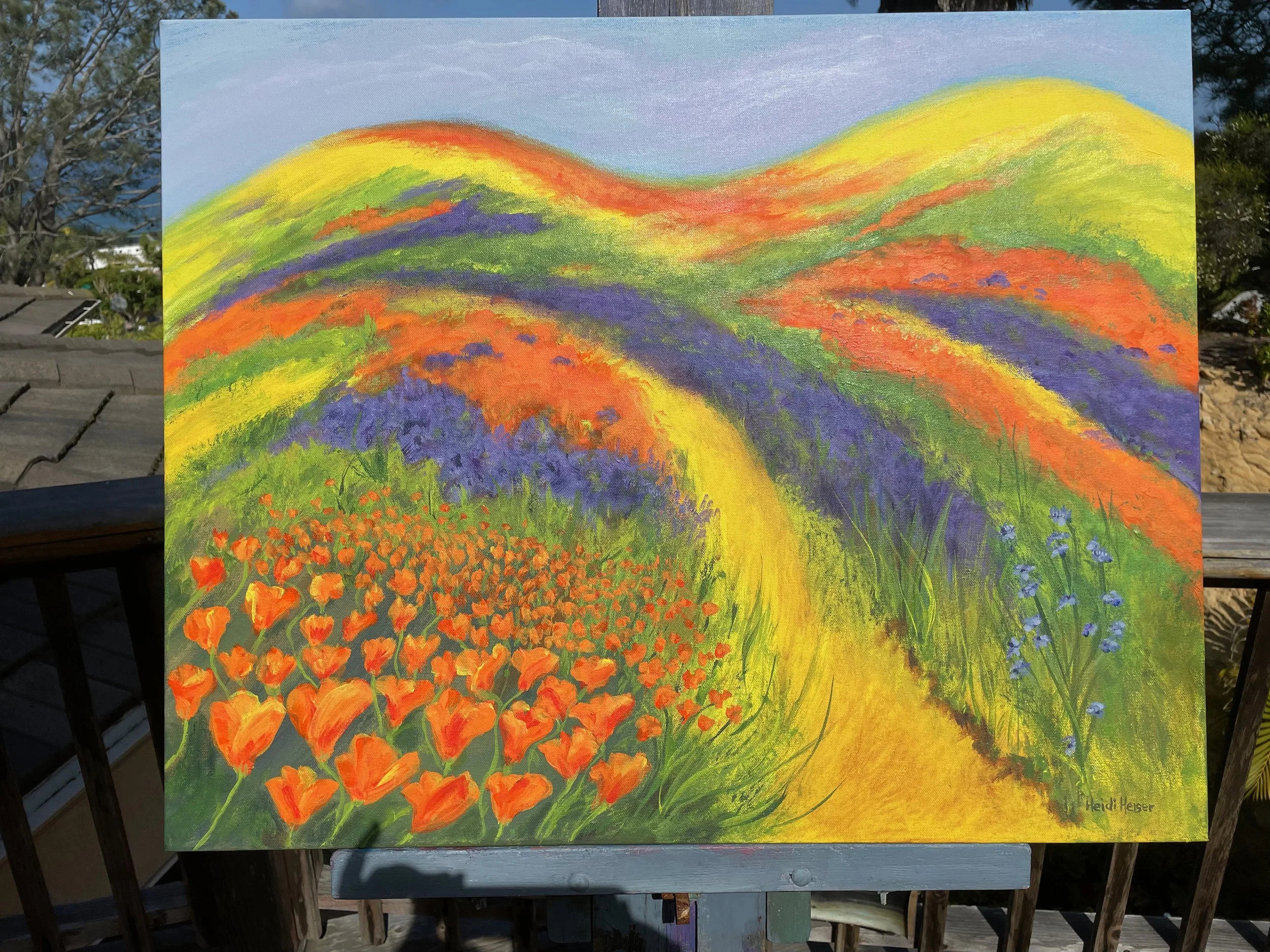 California Super Bloom 30x24 - 6.jpeg