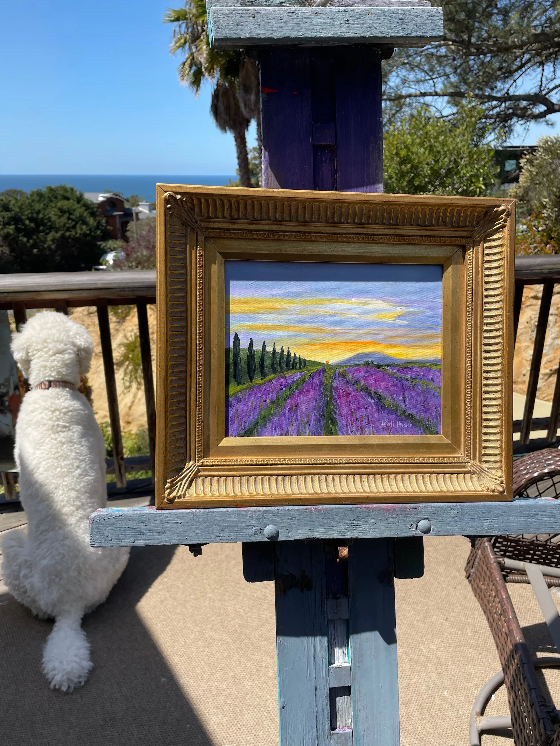 Lavender Fields Forever 8x10i - 9.jpeg