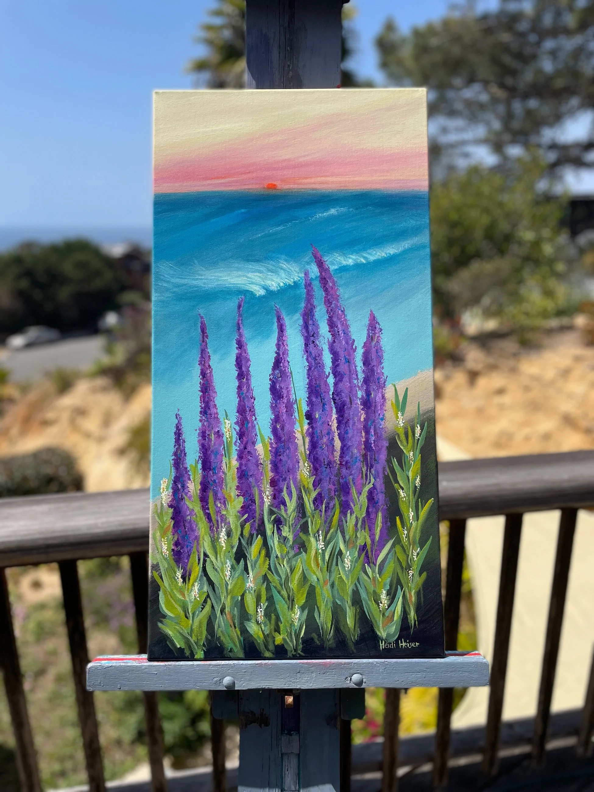 SALVIA AT THE COAST 30x15 - 11.jpeg