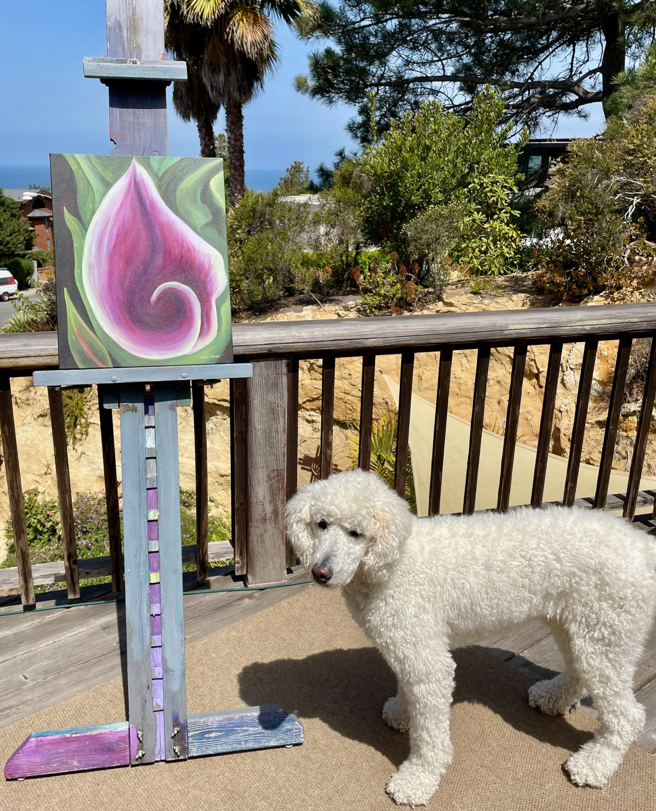 Tommies Calla Lily 16x20 - 3.jpeg