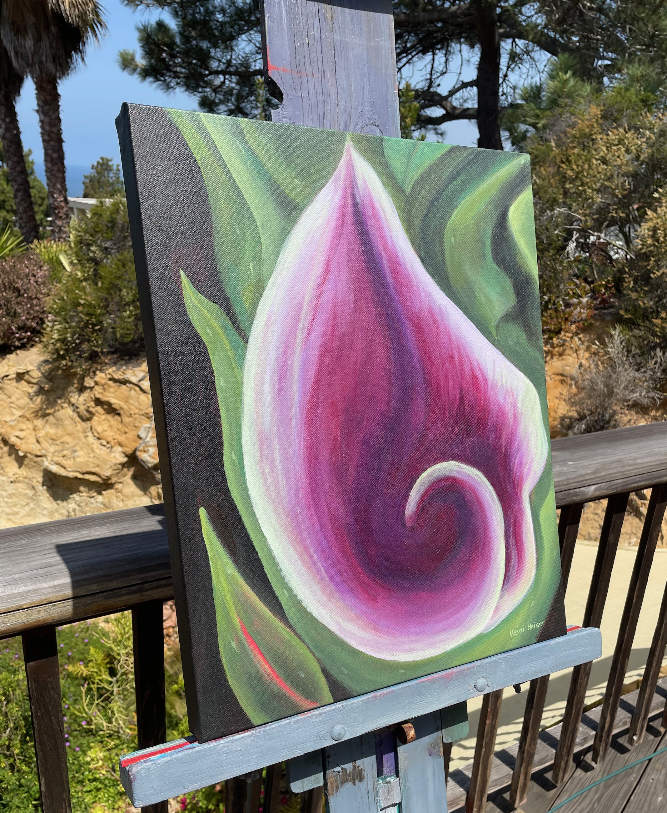 Tommies Calla Lily 16x20 - 5.jpeg