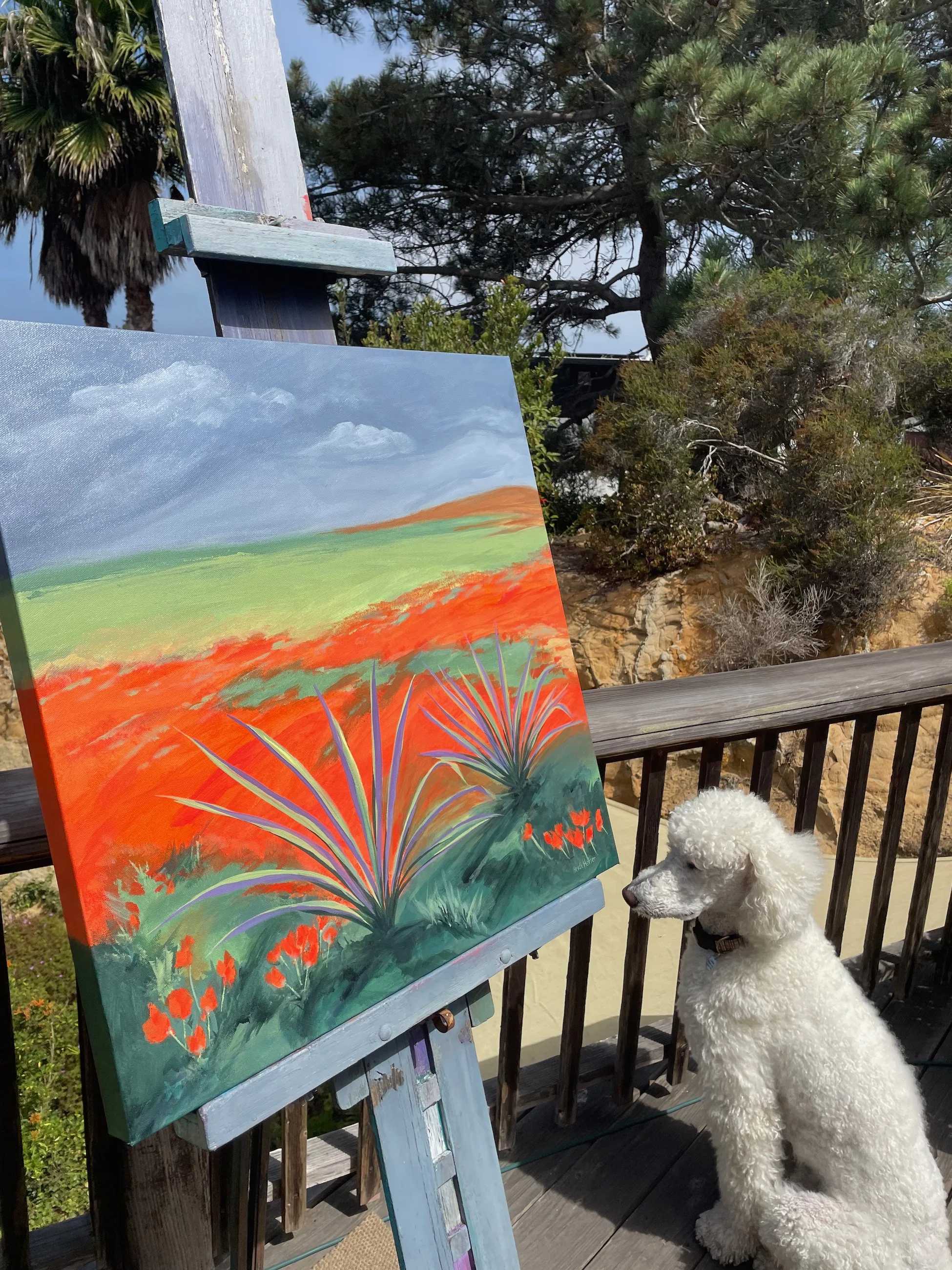 2 Yuccas in Poppies - 3.jpeg