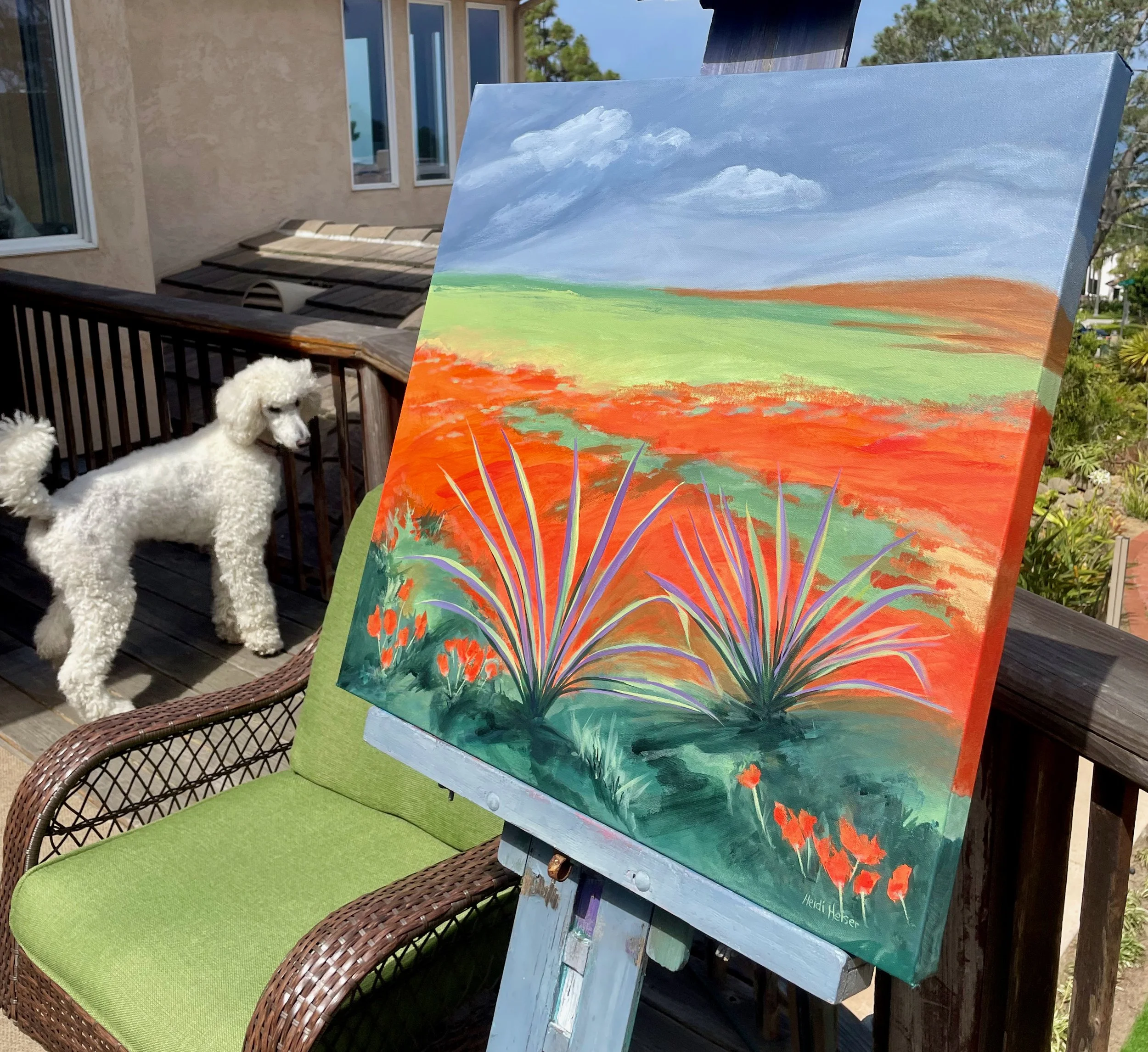 2 Yuccas in Poppies - 2.jpeg