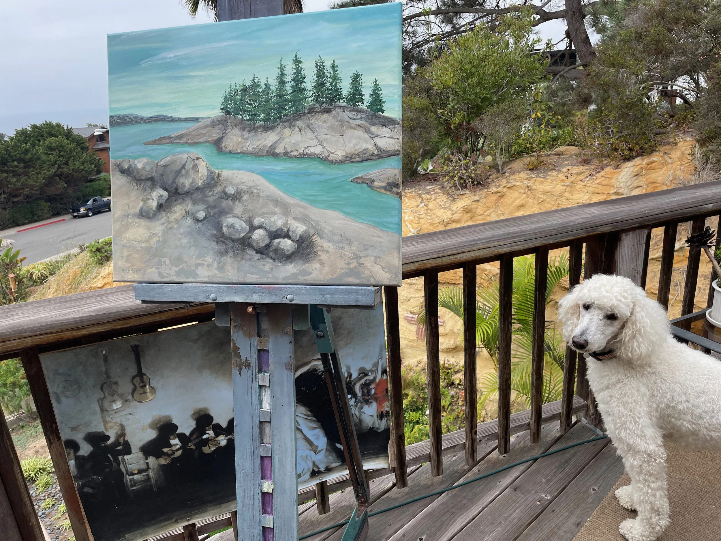 Shaver Lake 24x20 - 3.jpeg