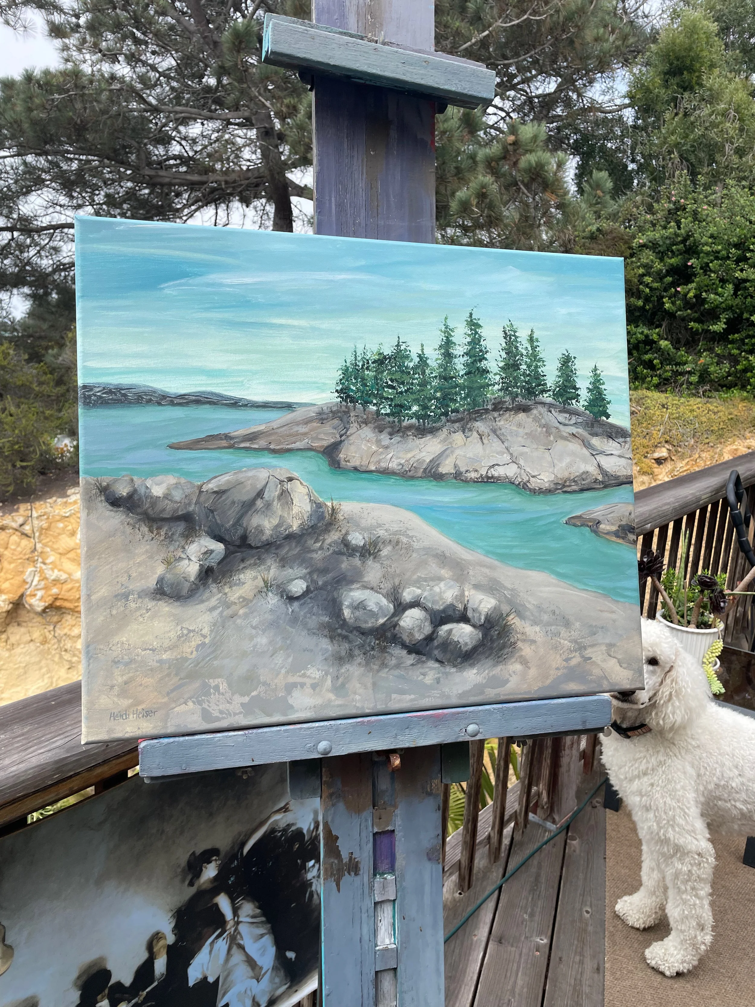 Shaver Lake 24x20 - 5.jpeg