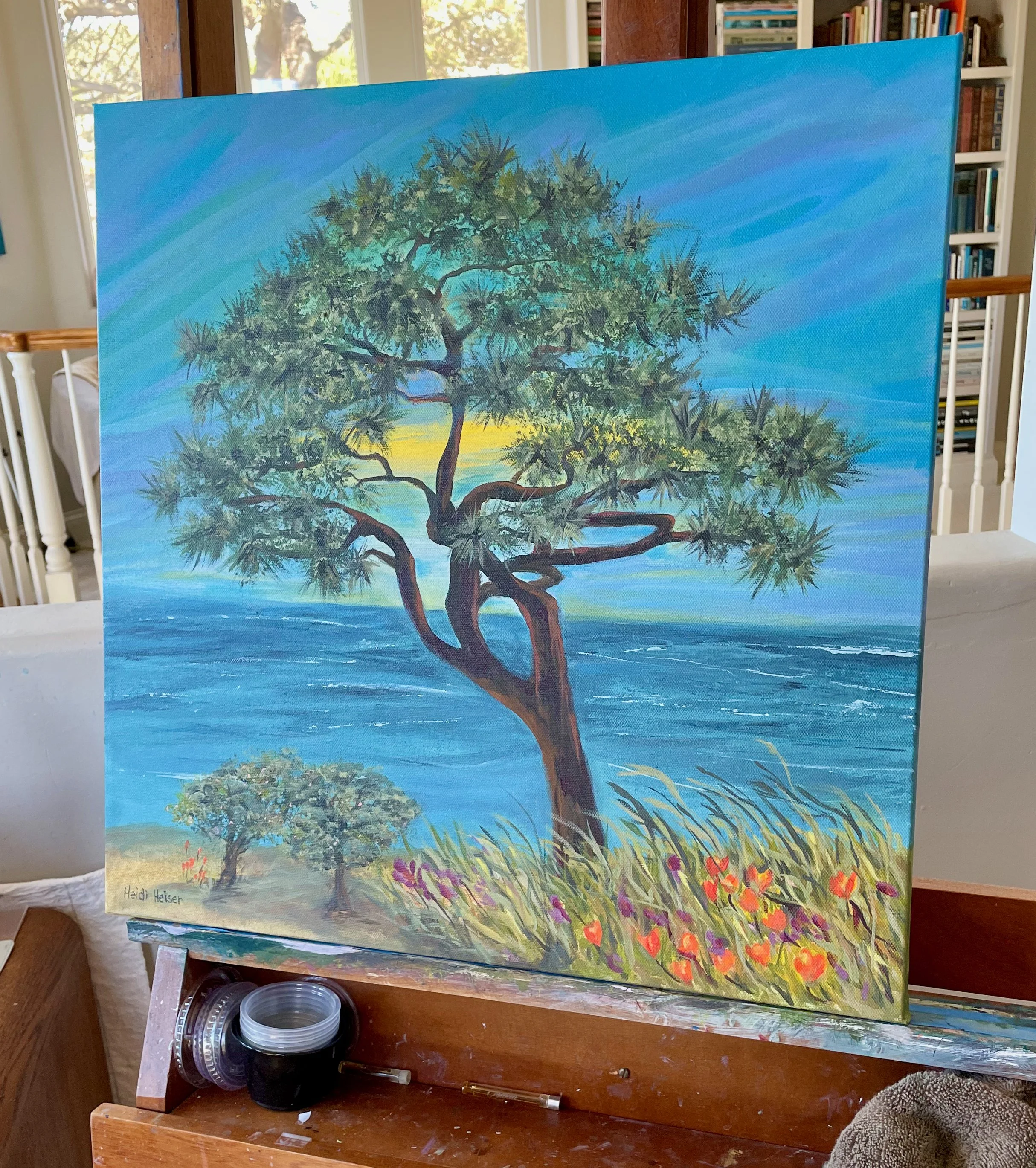 Del Mar Torrey Pine 20x20 - 1.jpeg