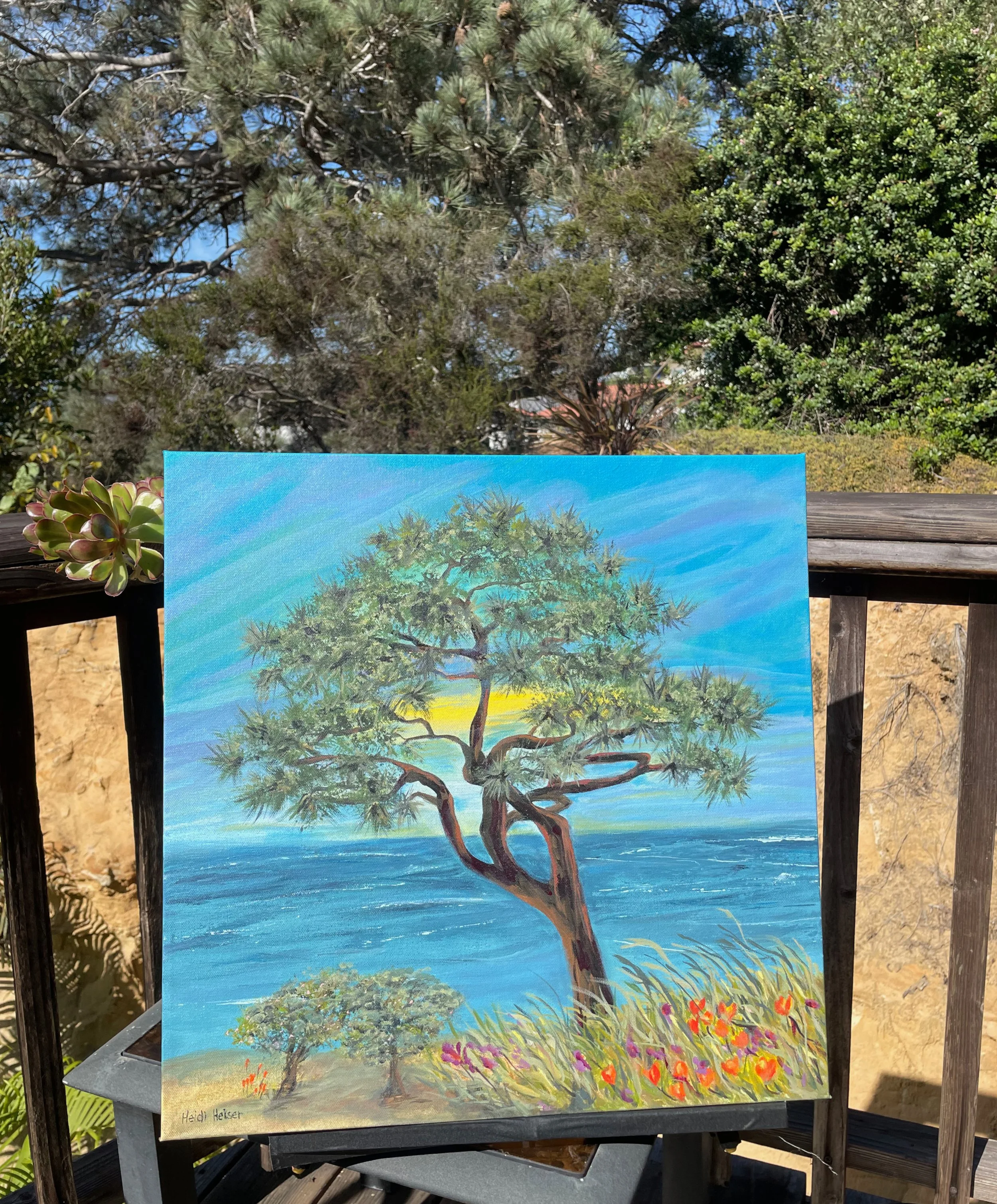 Del Mar Torrey Pine 20x20 - 2.jpeg