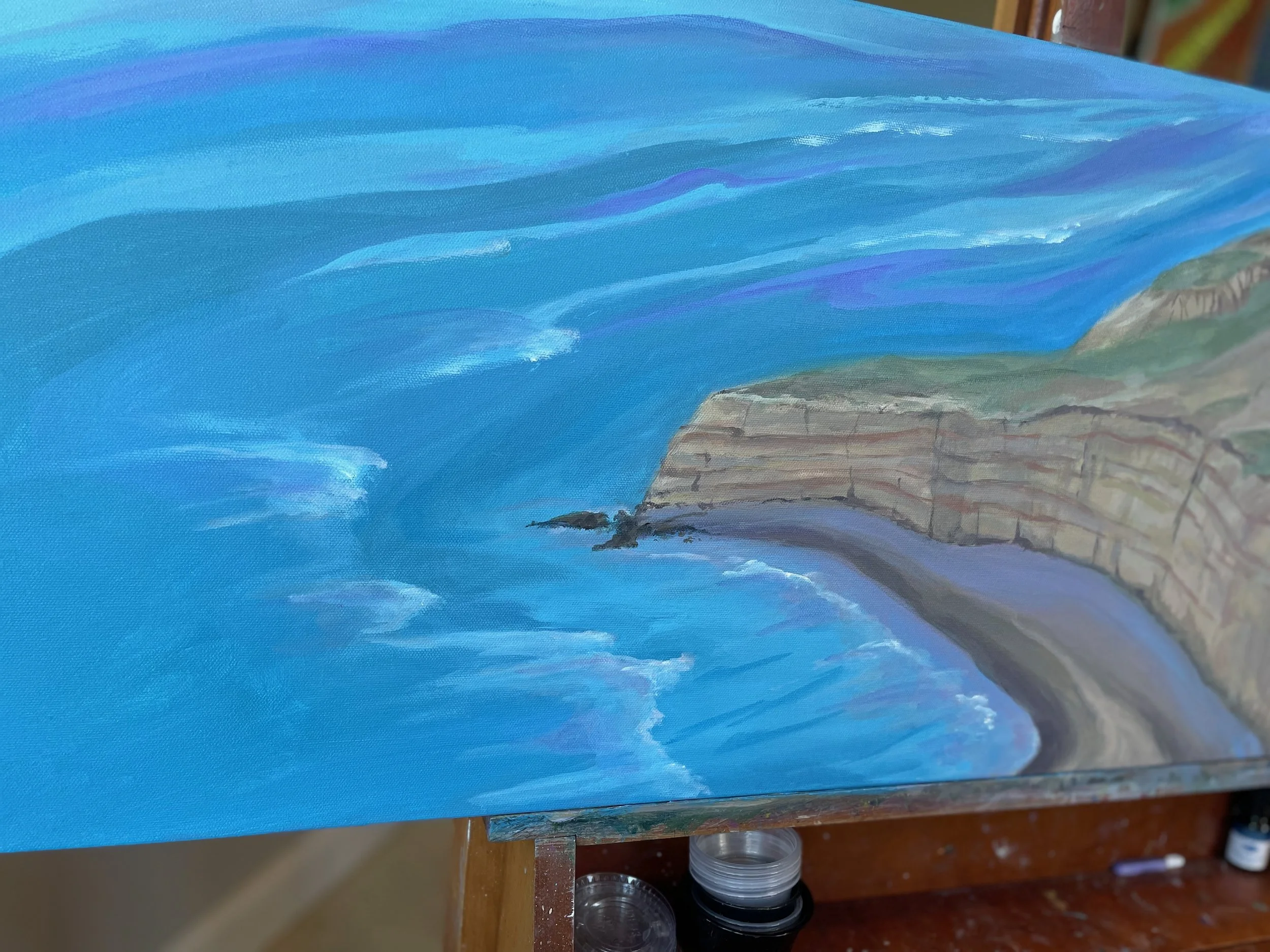 ABOVE TORREY PINES BEACH 40x16 - 15.jpeg
