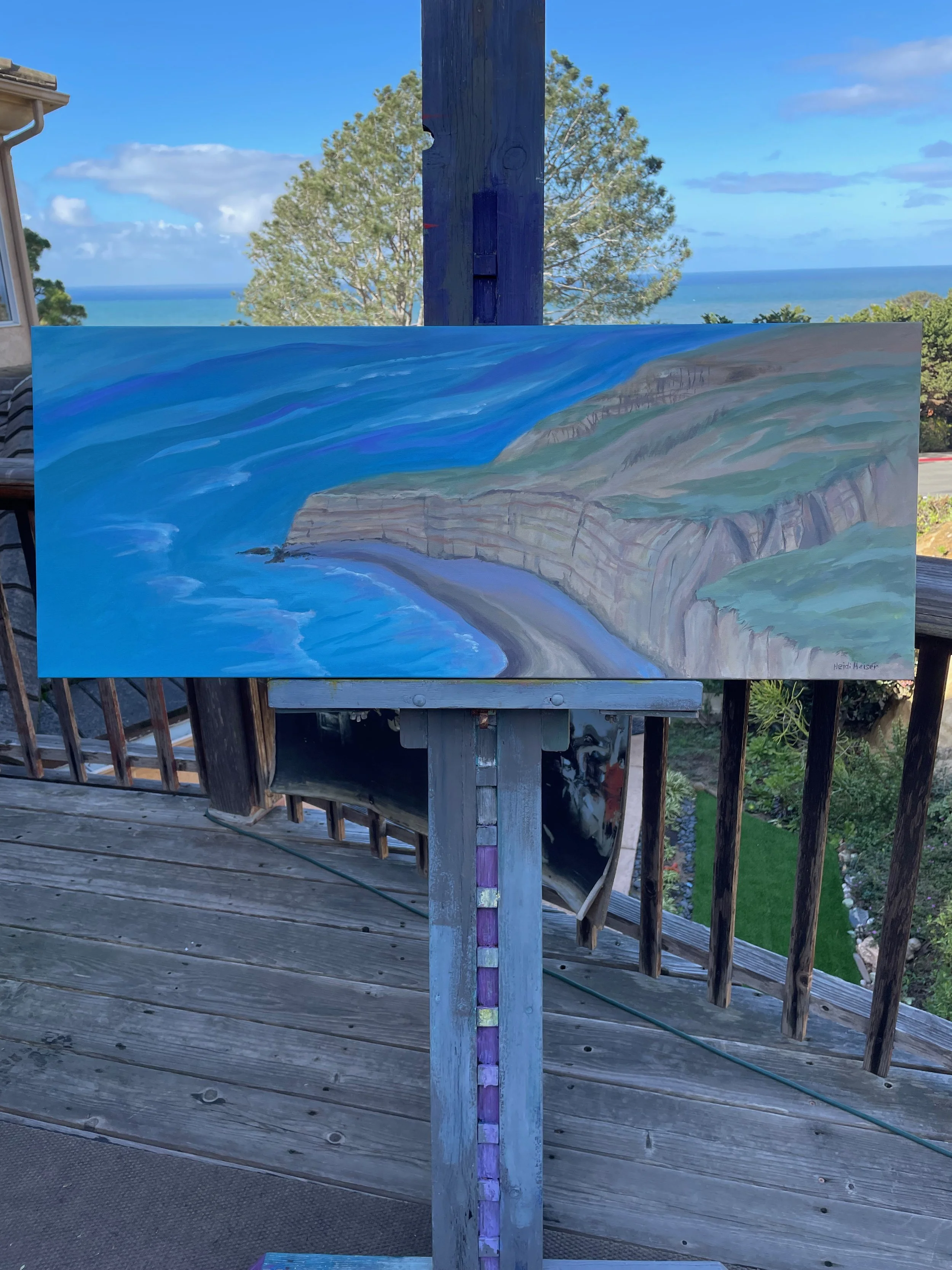 ABOVE TORREY PINES BEACH 40x16 - 6.jpeg