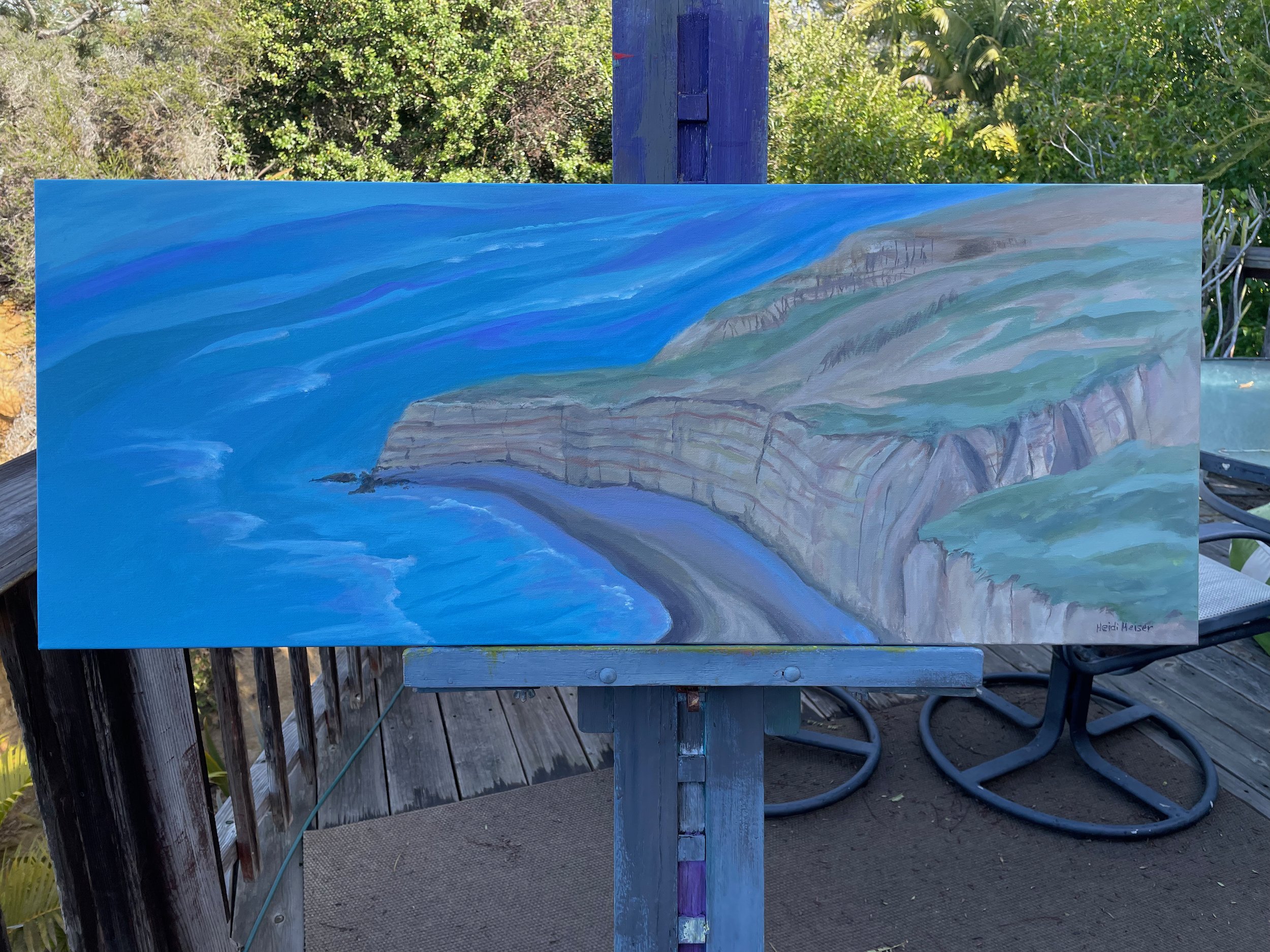 ABOVE TORREY PINES BEACH 40x16 - 8.jpeg