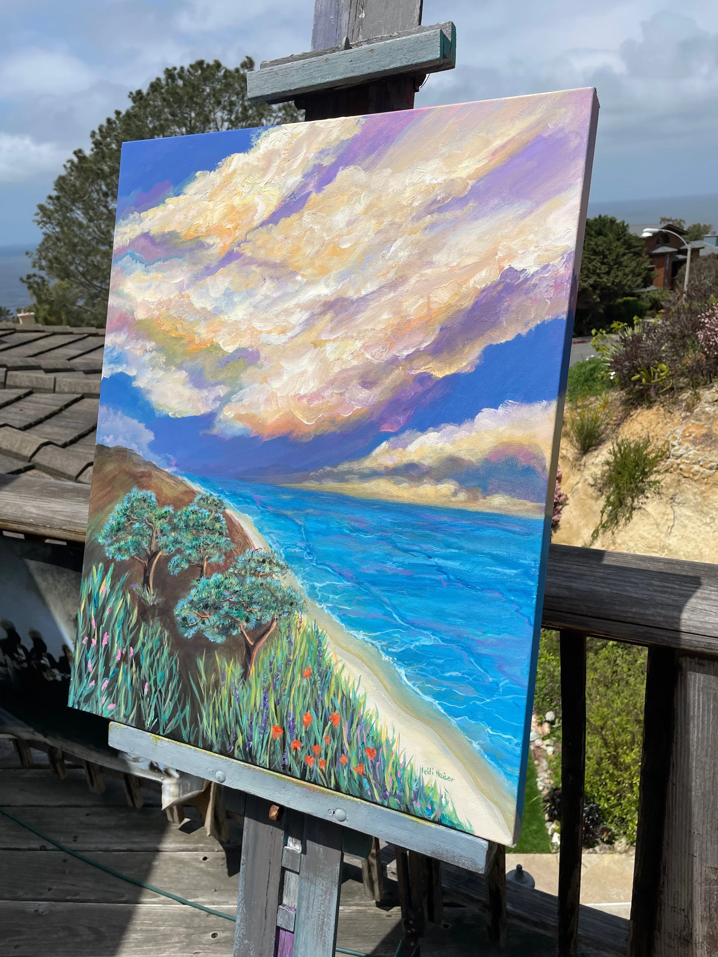 Spring Storm over Torrey Pines30 x 24 - 10.jpeg