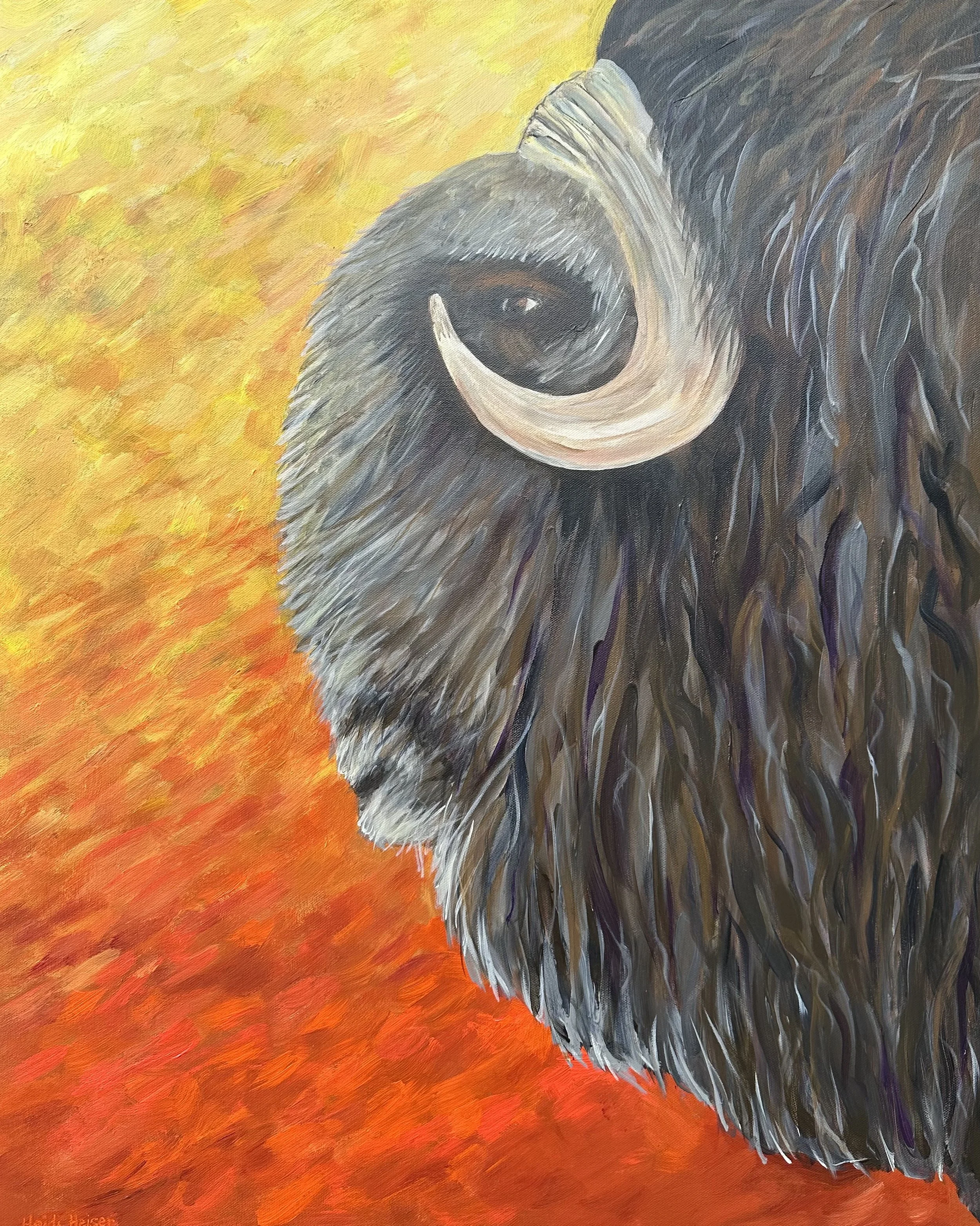 Muskox 24x30.jpeg