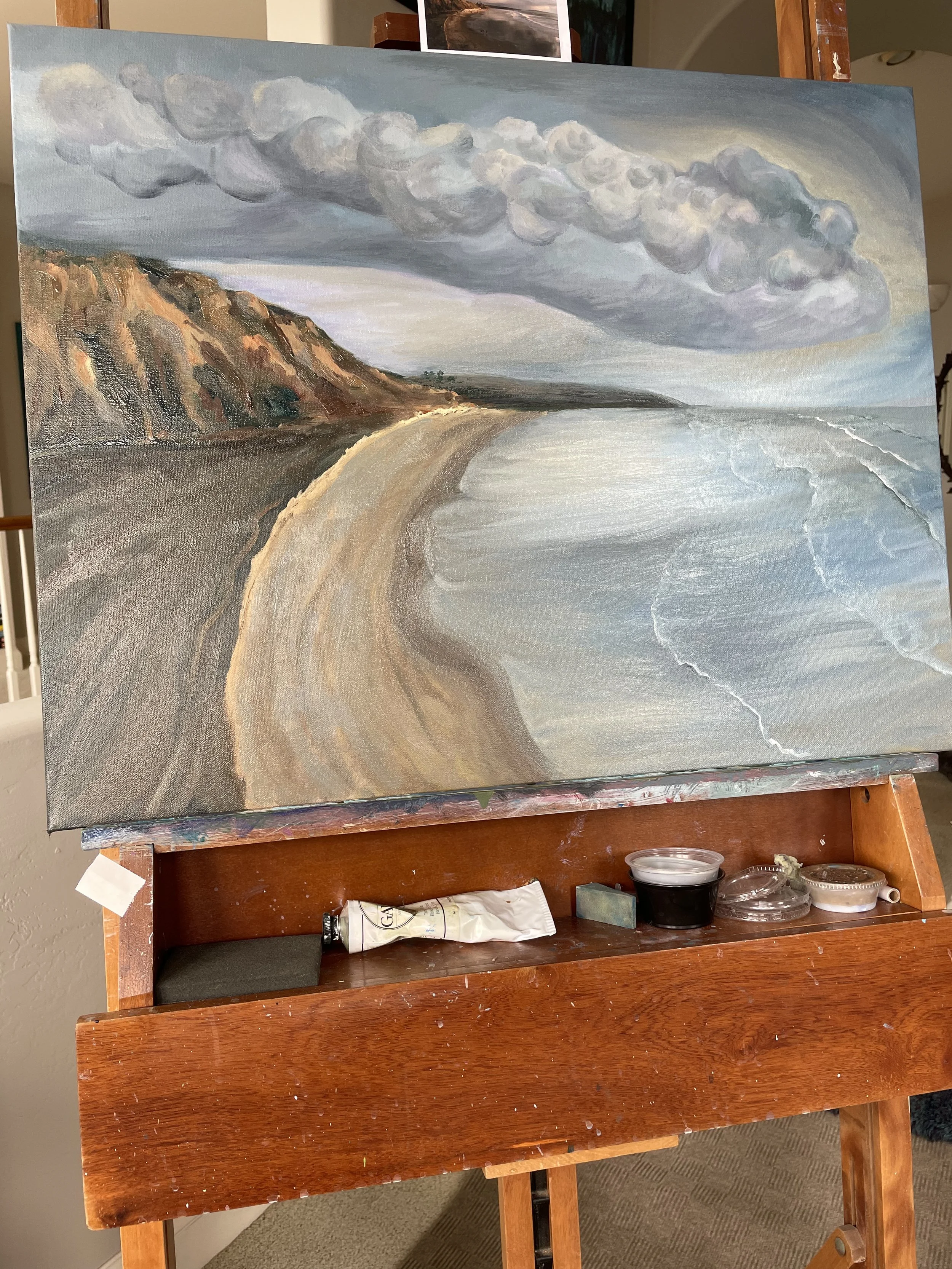 Torrey Pines Beach.jpeg