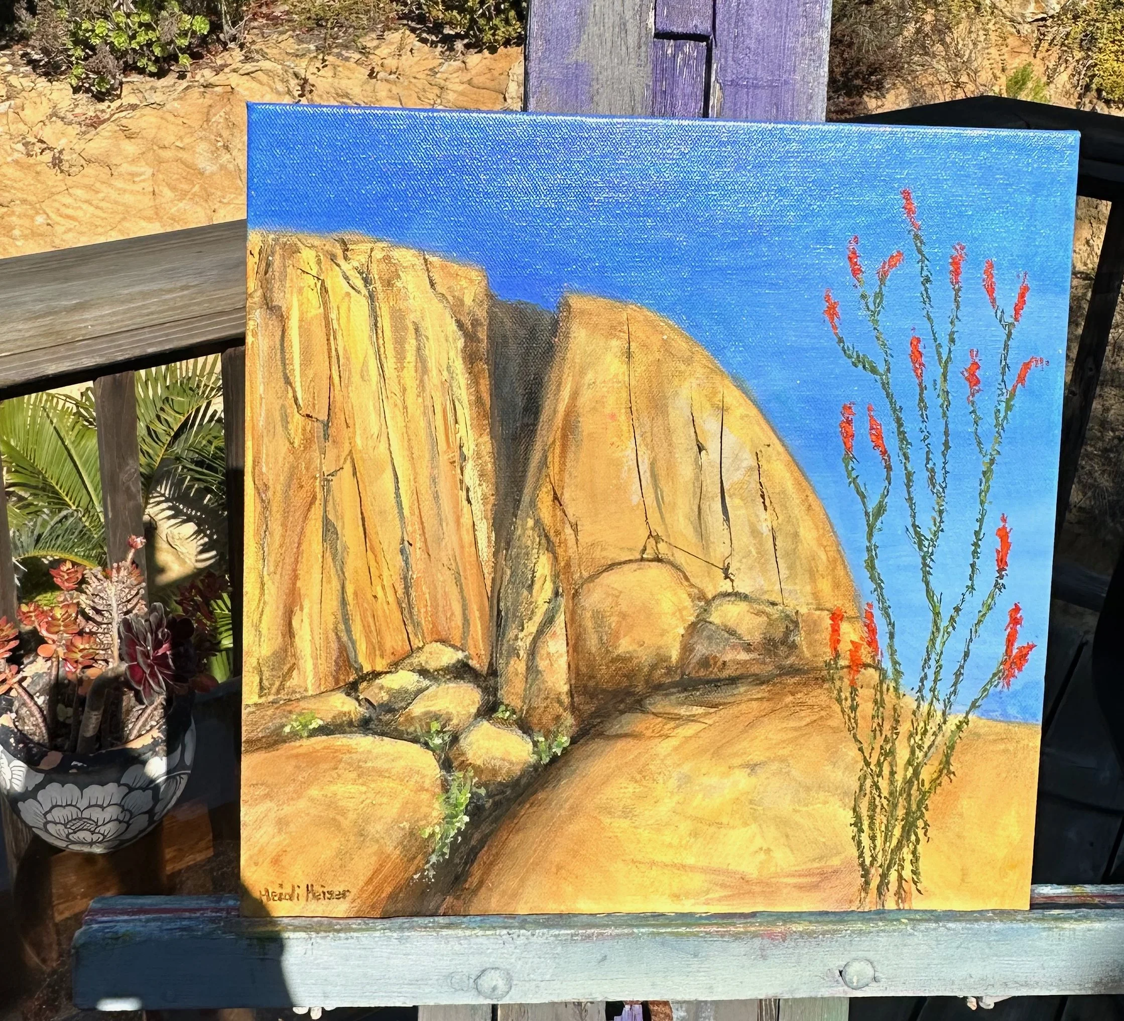 BLOOMING DESERT 14x14 - 7.jpeg