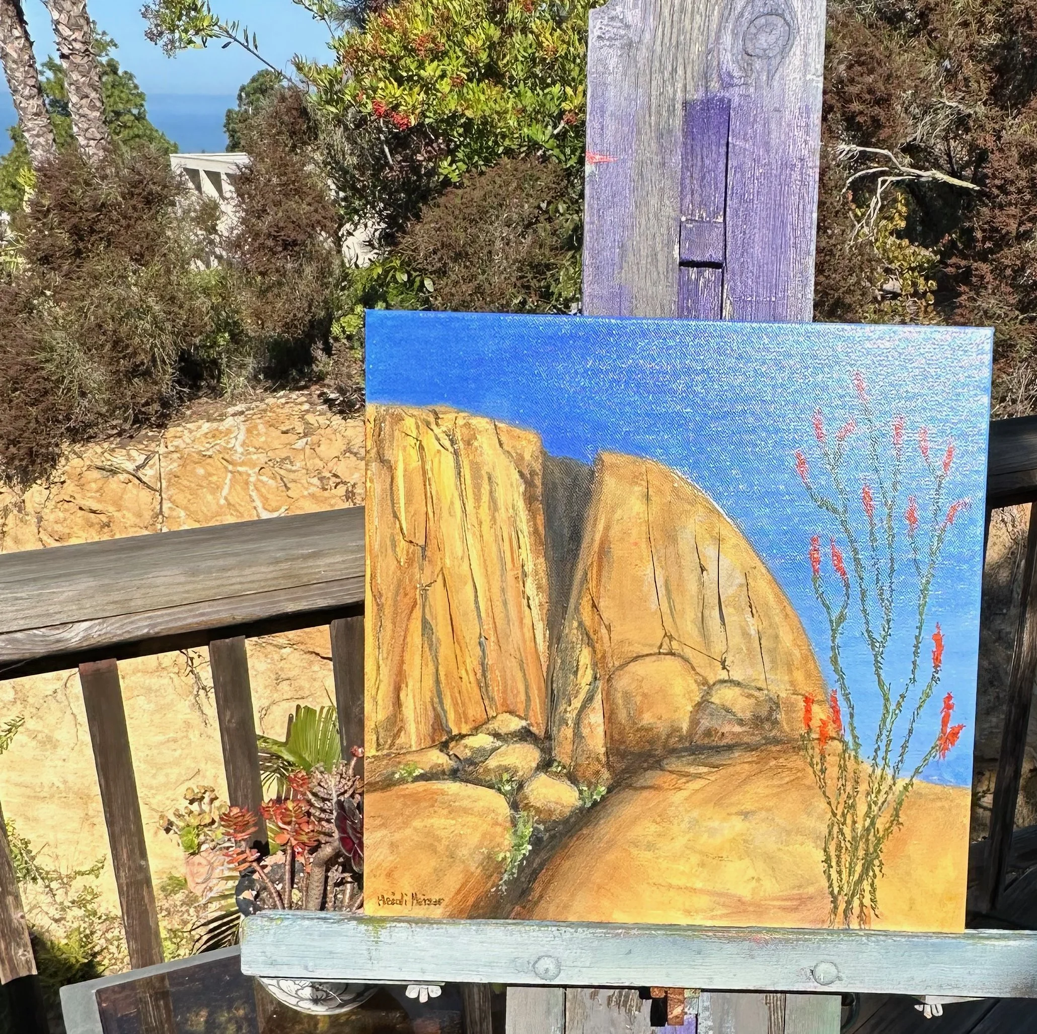 BLOOMING DESERT 14x14 - 9.jpeg