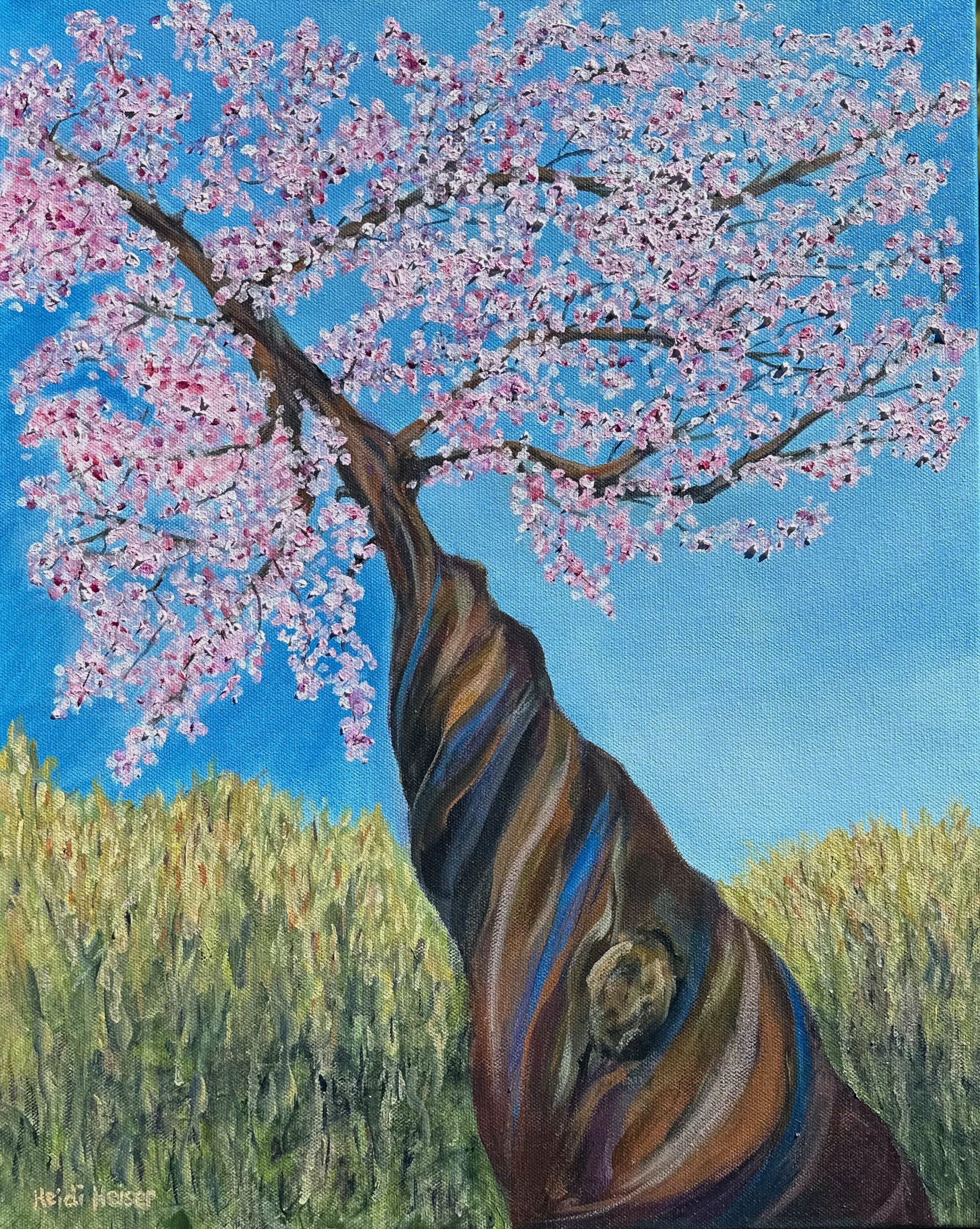 Cherry Blossoms Galore 16X20 - 300.jpeg